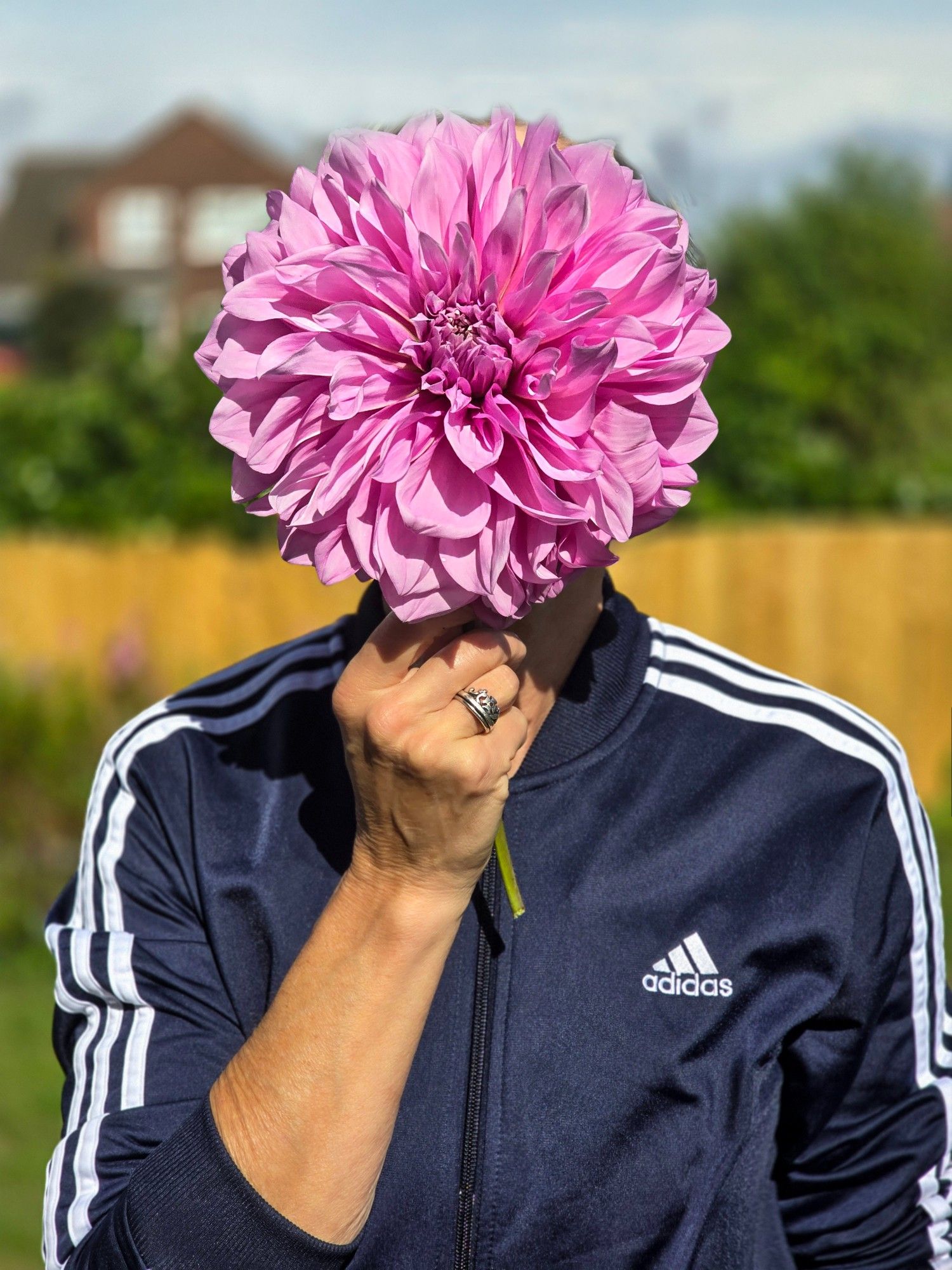 That's me holding a giant Dahlia head in front of my face.