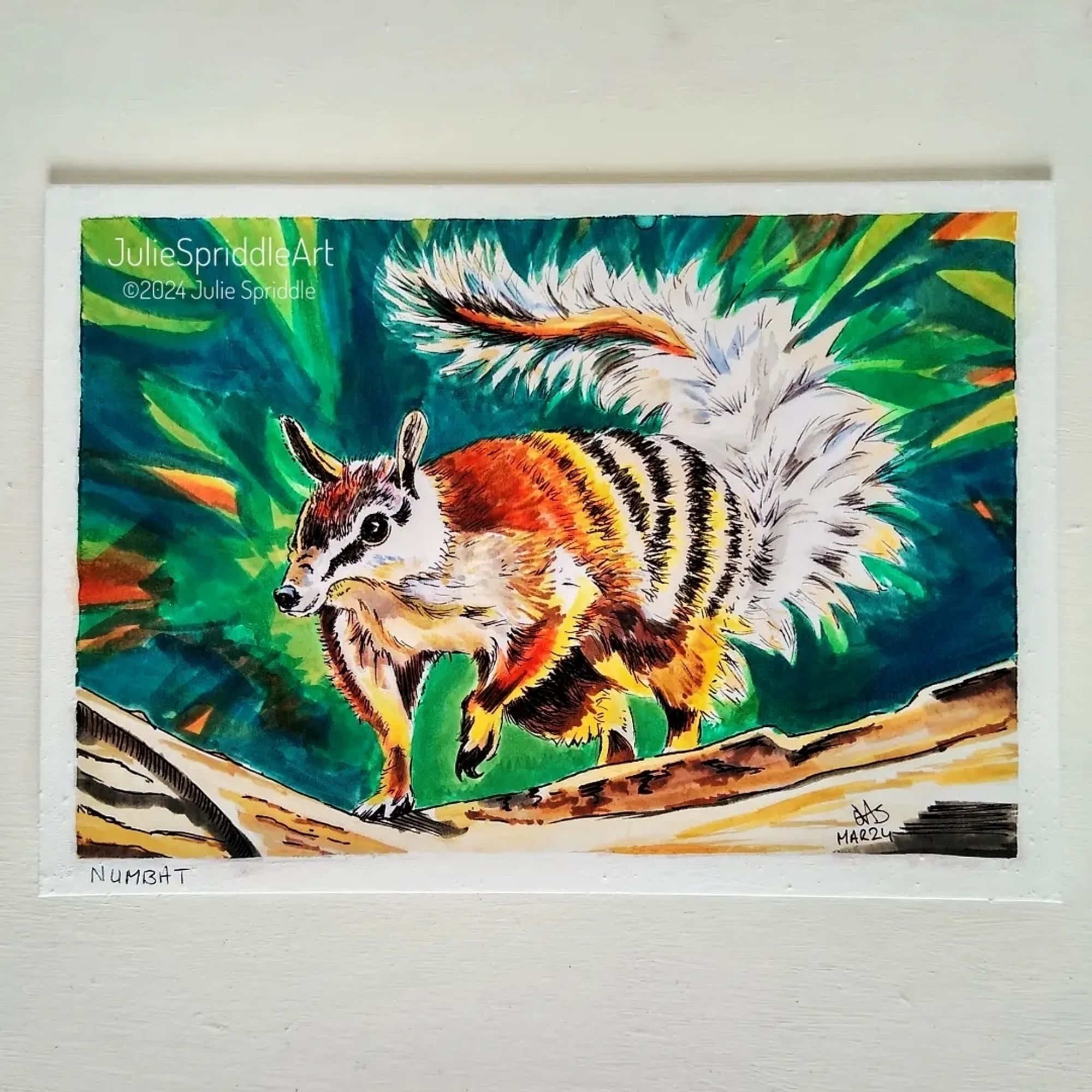 A small striped animal with a long snout and a bushy tail. Illustration created by JulieSpriddleArt.