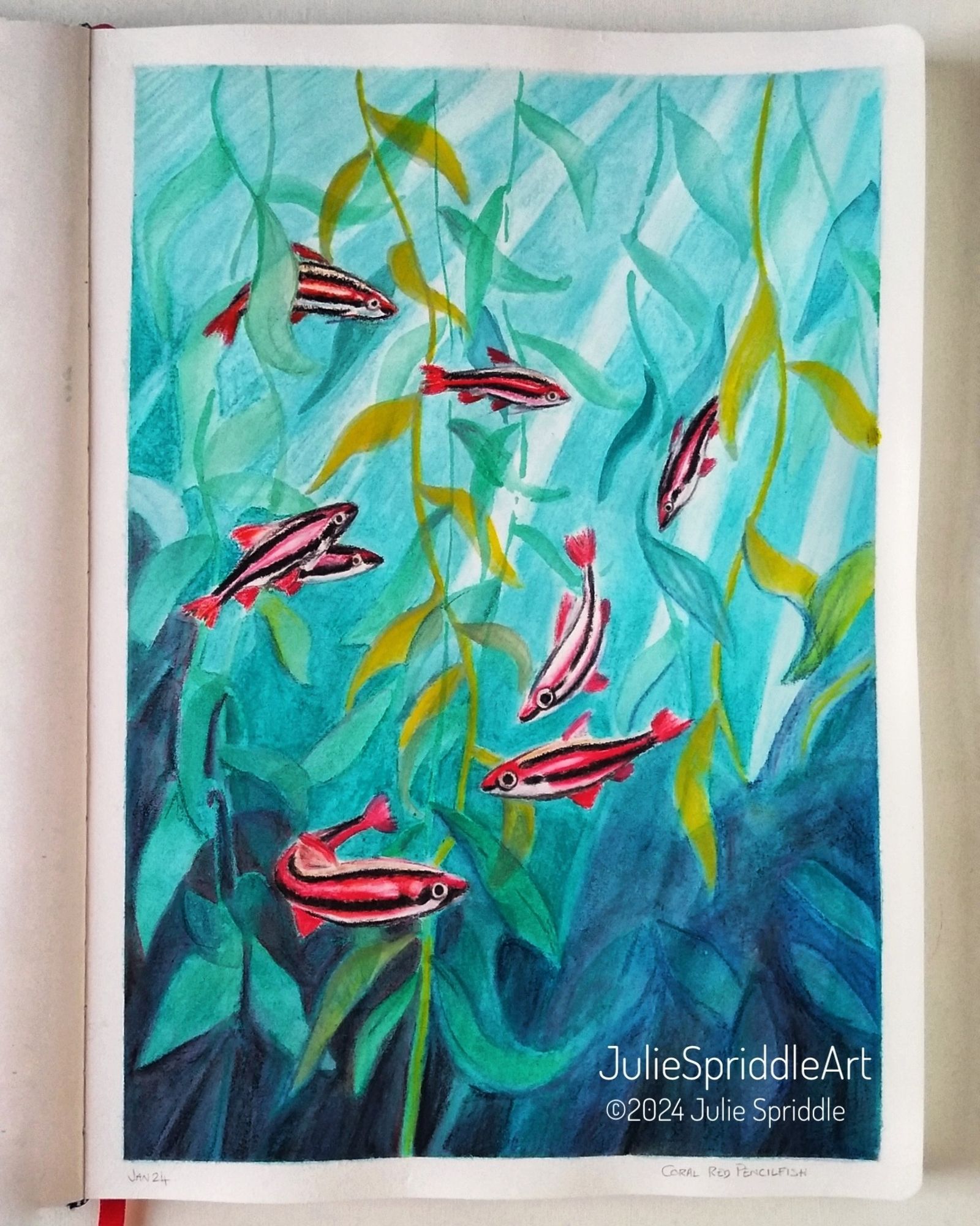 Small fish with red and black stripes. Illustration created by JulieSpriddleArt.