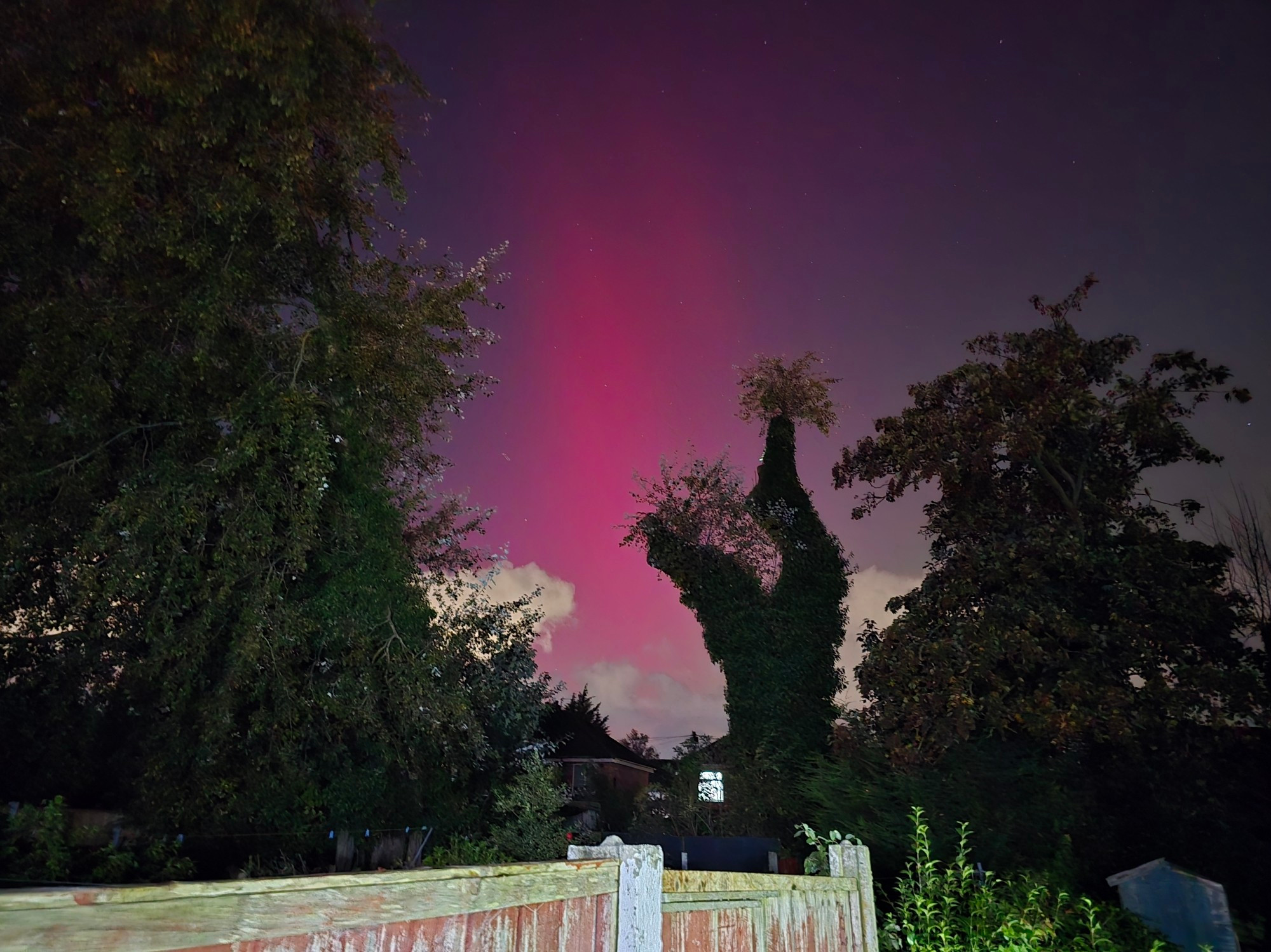 The northern lights captured with some trees and a fence in shot