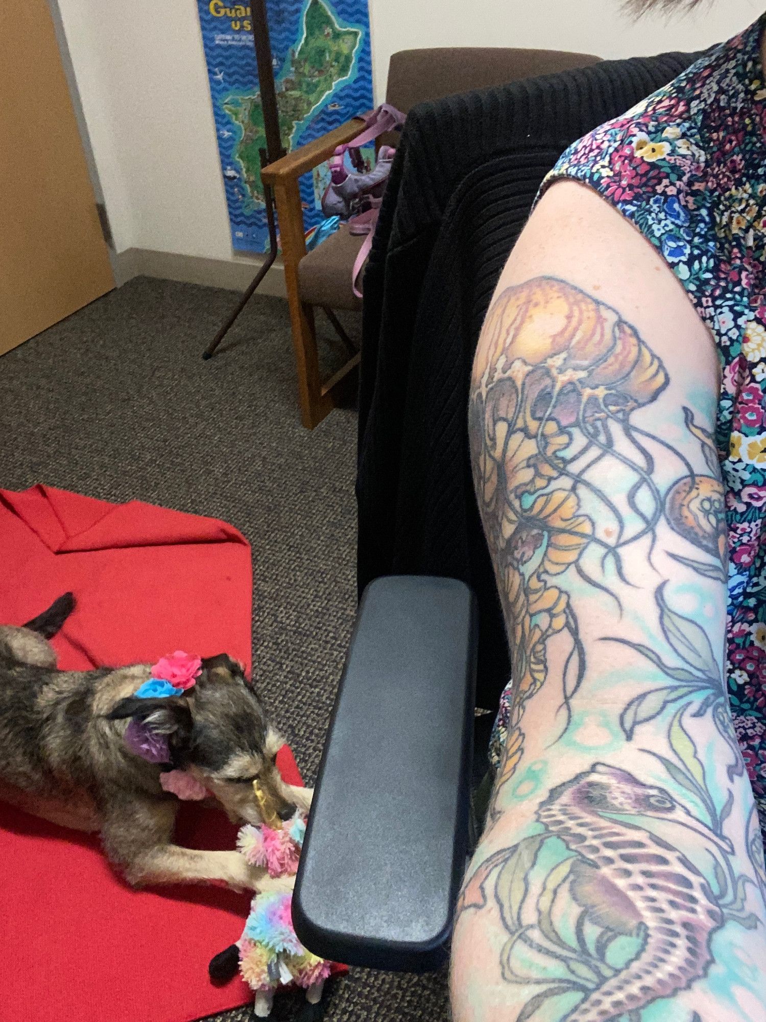 On the left side of the picture, a black and tan dog is resting on a red blanket and chewing intently on a rainbow stuffed animal. On the right side is a woman's tattooed arm and part of an office chair. There is a brown chair in the background.