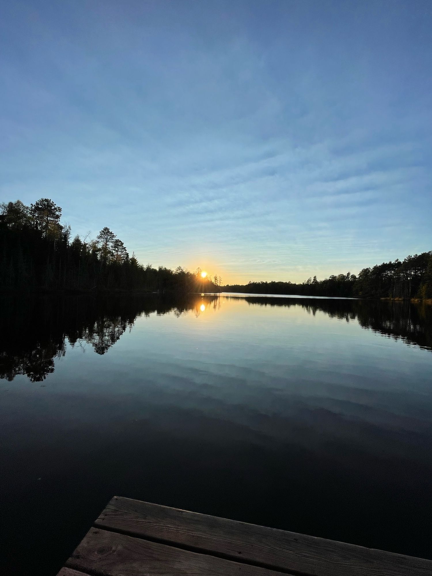 Sunsetting behind pine forest across a calm lake