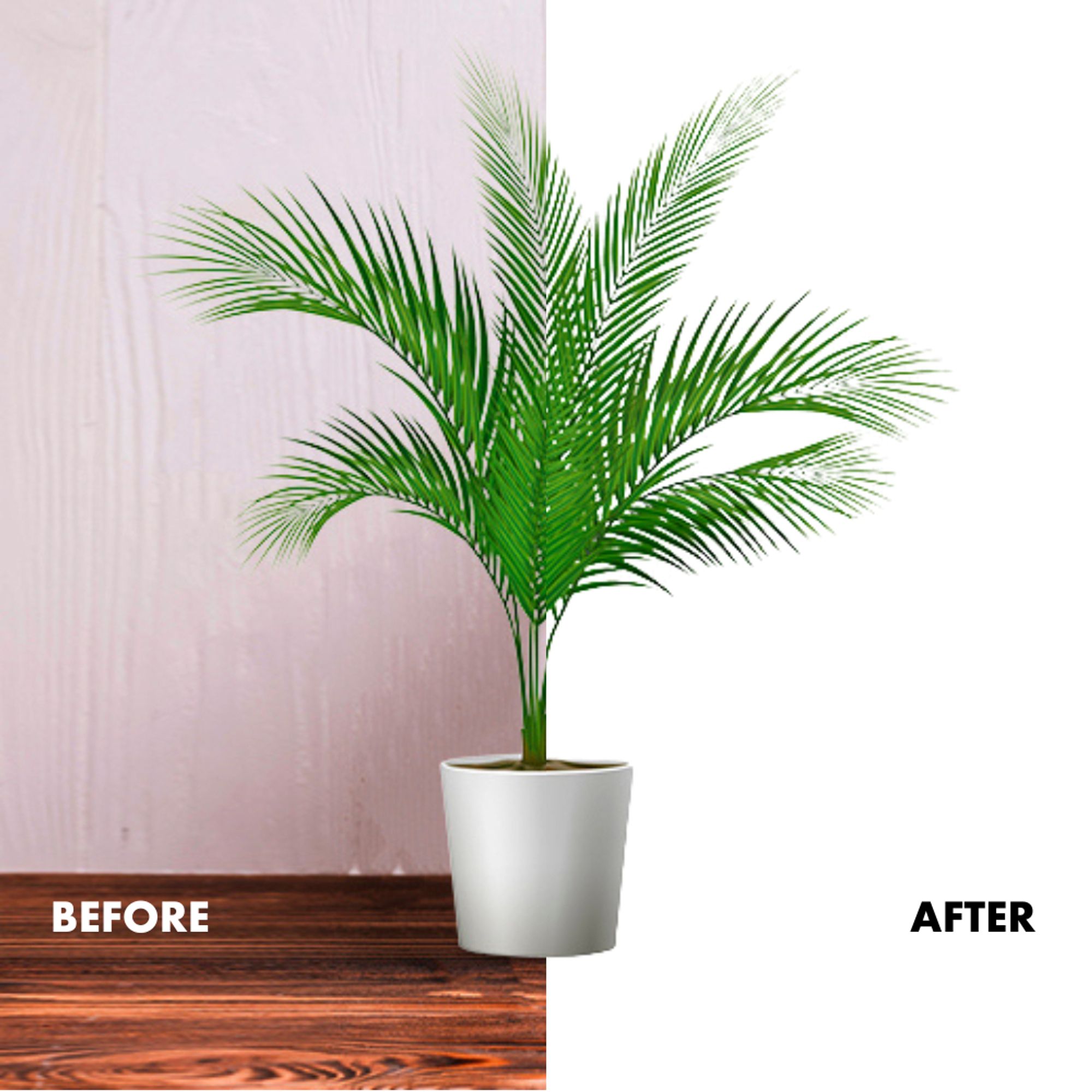 Clipping path service