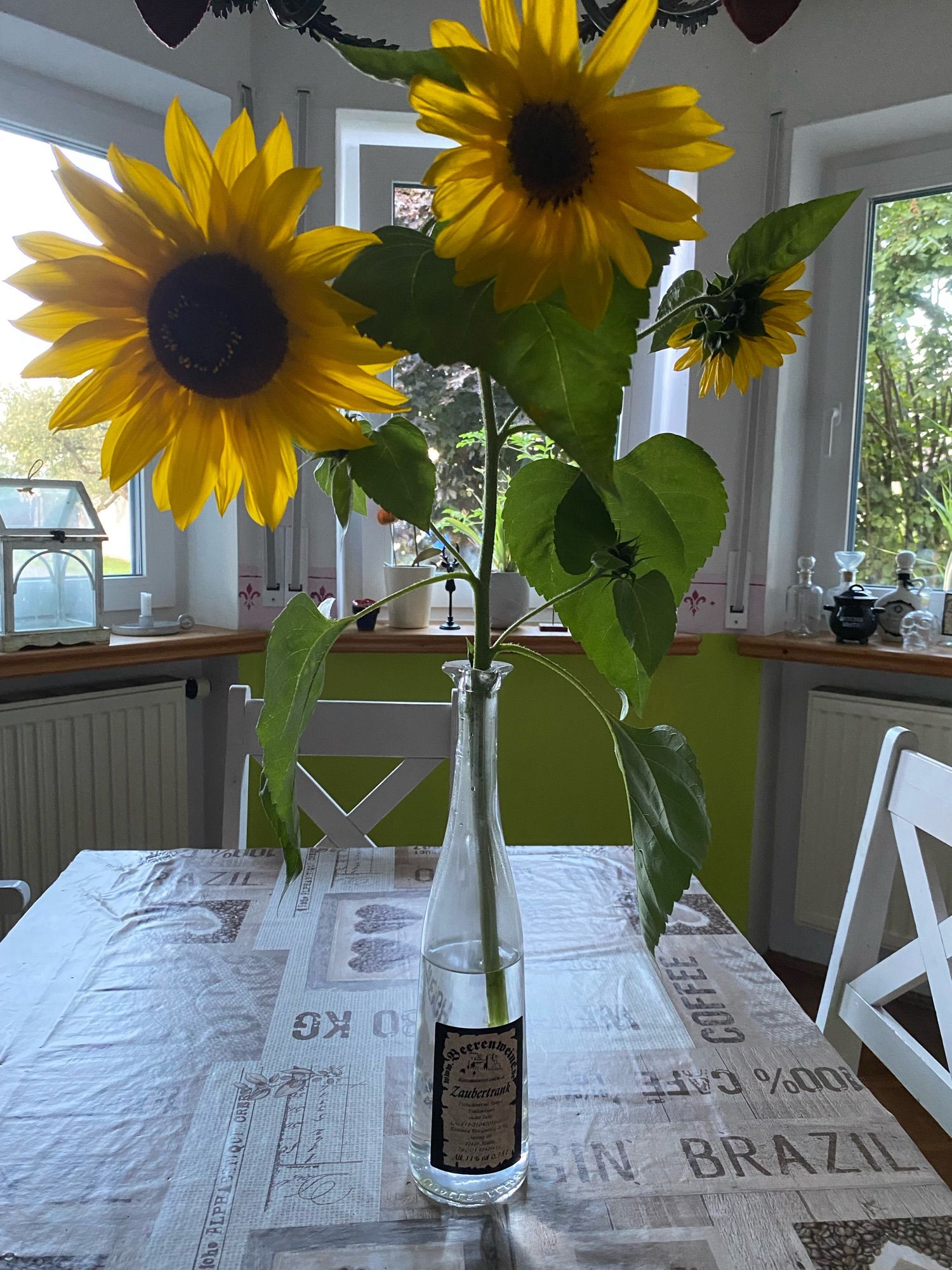 sunflowers in a vase on a table