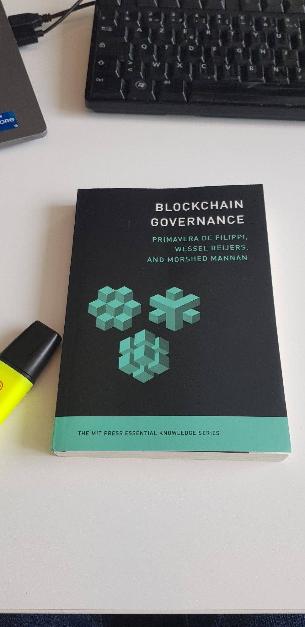 Blockchain Governance, 2024, MIT Press