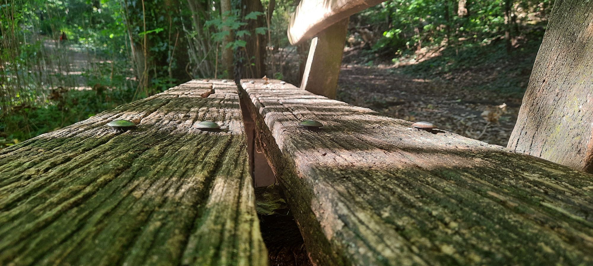 #parkbank #holz und #schlossschrauben #prenzlauerberg #volkspark #september #spaetsommer #berlin #fotografie #photography #photographie