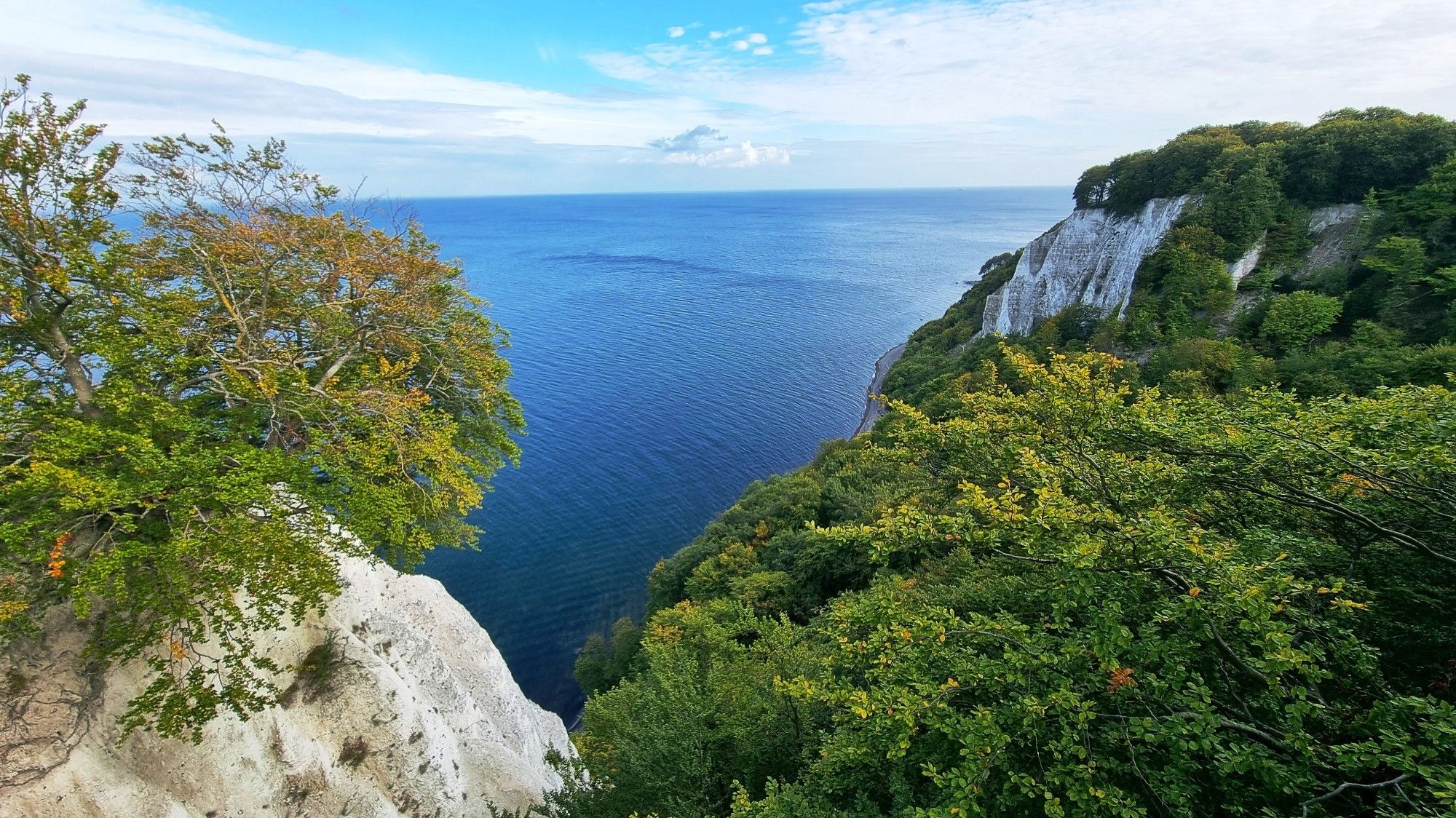 Kreideküste mit Buchenwald vor tiefblauer Ostsee