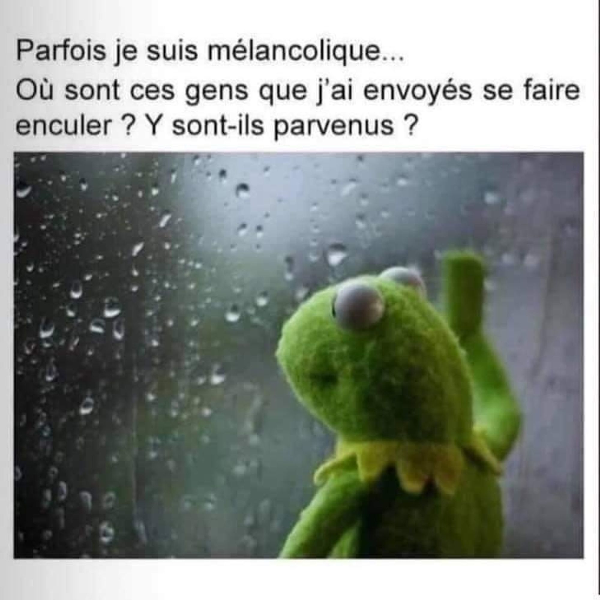 Kermit la grenouille qui regarde la pluie tomber et qui pense
Parfois je suis mélancolique...
Où sont les gens que j'ai envoyé se faire enculer ?
Y sont ils parvenus ?