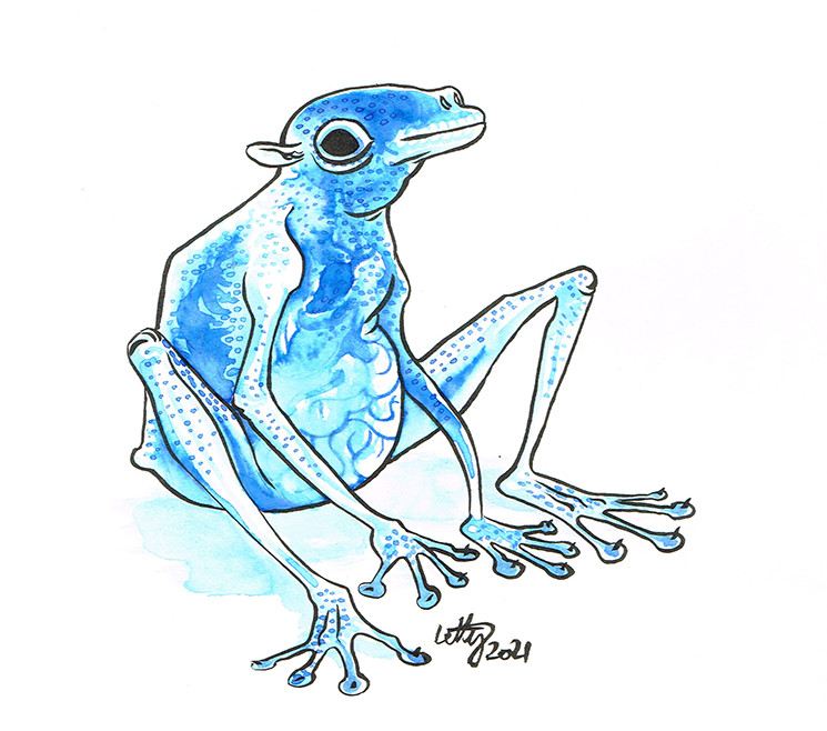 ink drawing of a goblin based on a glass frog - it has translucent skin which shows its organs faintly.