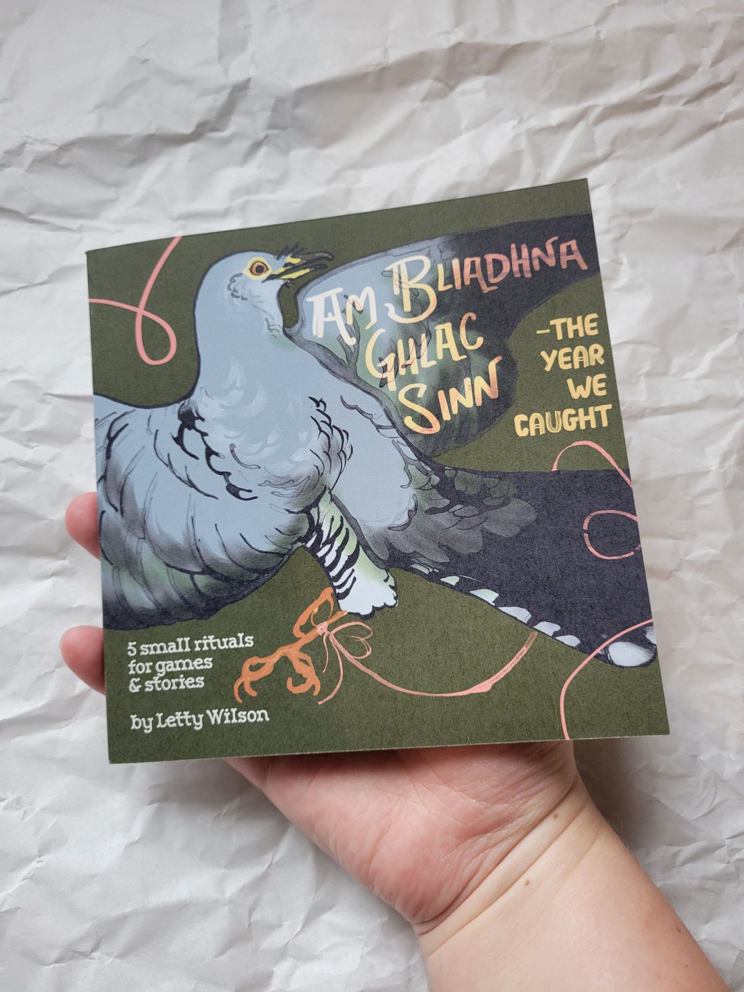 cover of my book Am bliadhna Ghlac Sinn, the year we caught, showing a cuckoo caught by a thread tied to its leg.