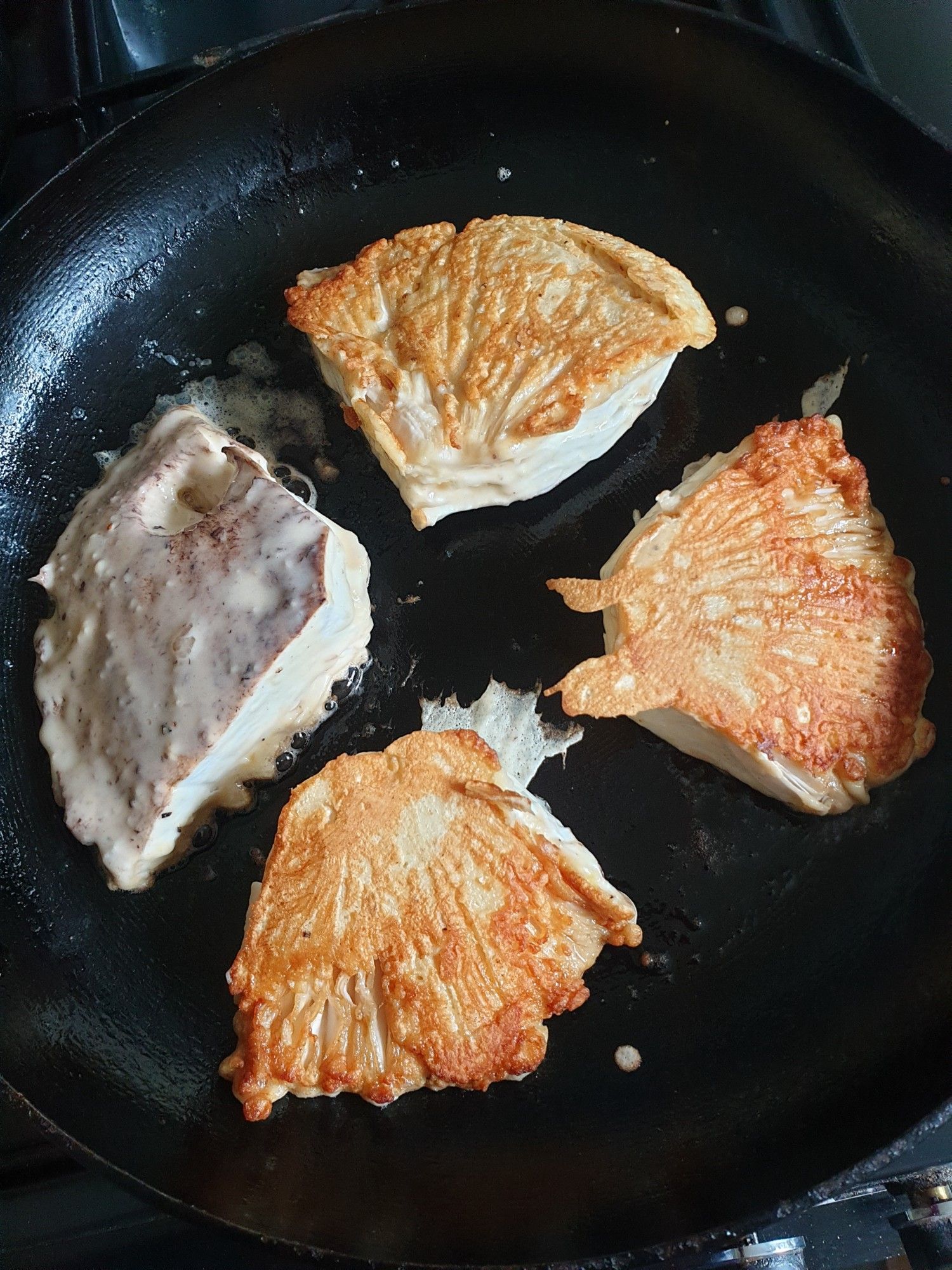 The parasol mushroom, quartered, dipped in light batter and cooking in a large frying pan. Delicious!