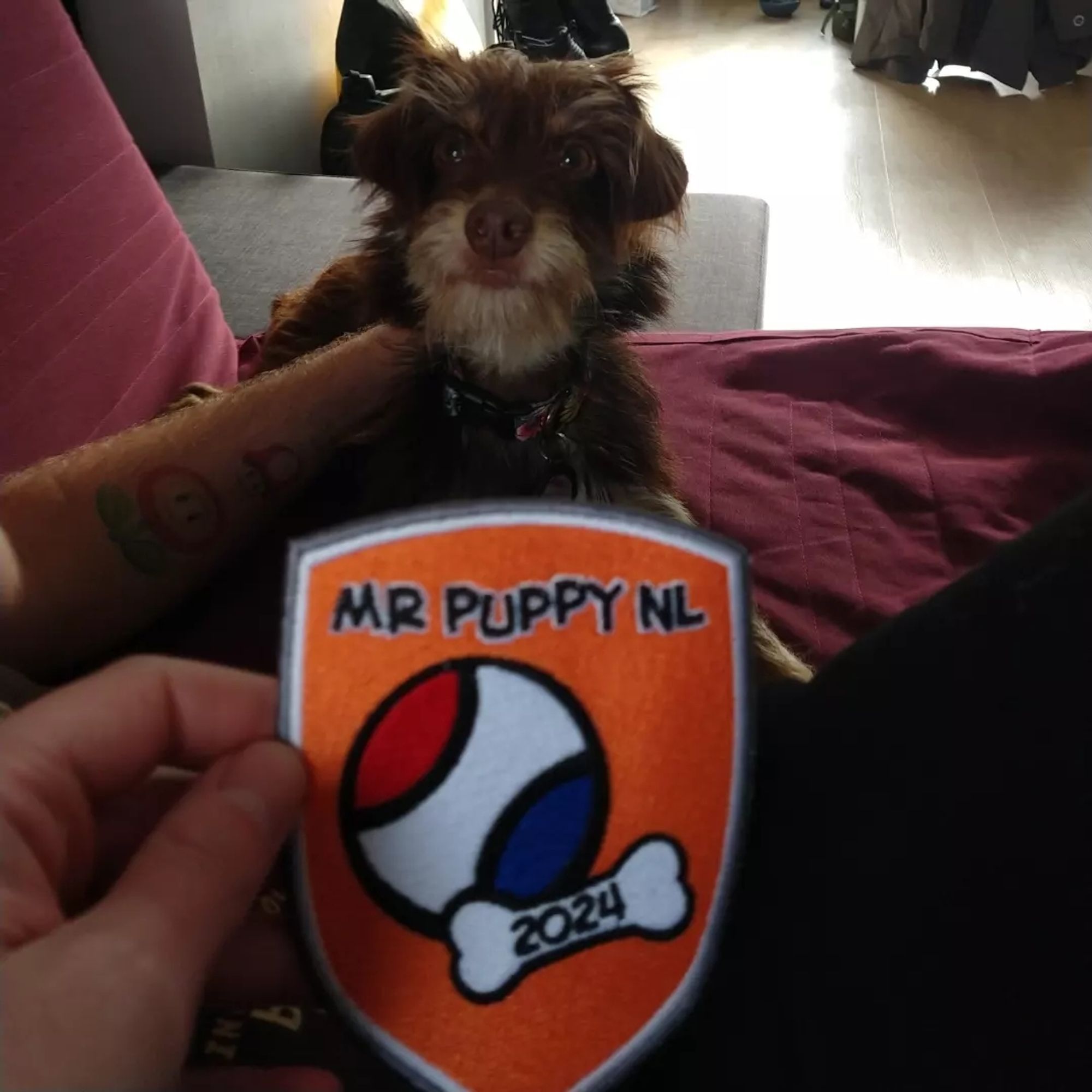 The Dutch Puppy Contest 2024 patch with the fluffy inspector behind it, looking proud to represent such a beloved organisation.