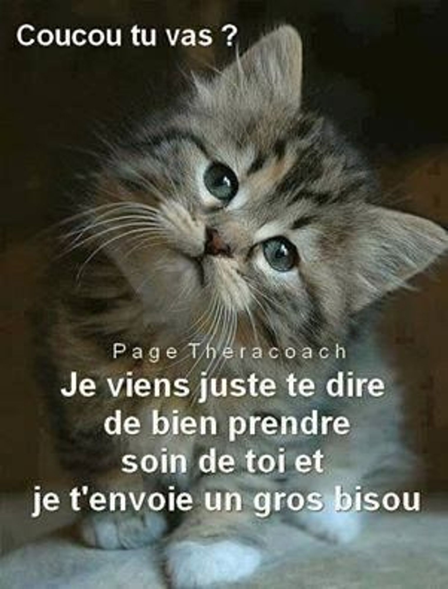 La photo d'un chaton tigré, assis, aux yeux verts qui penche la tête. 
Le texte, écrit en blanc, en haut de l'image : coucou tu vas ?
En bas de l'image : 
Je viens juste te dire 
de bien prendre
soin de toi et
je t'envoie un gros bisou.