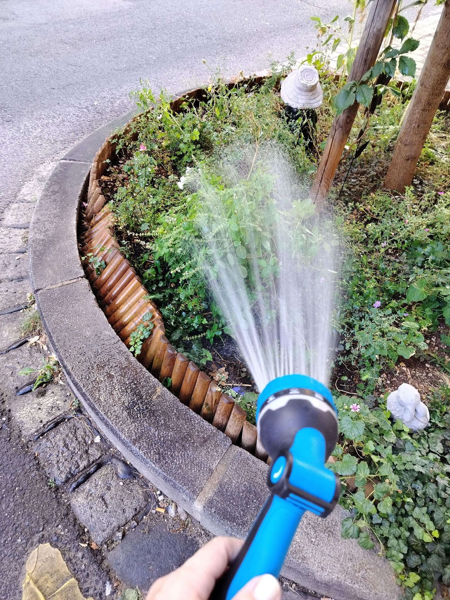 Blick auf die runde Baumscheibe, die von einem niedrigen hölzernen Zaun eingefasst ist. Ca. ein Meter ist deutlich sichtbar eingedrückt. Im Vordergrund das Brauseteil vom Gartenschlauch, aus dem Wasser spritzt.