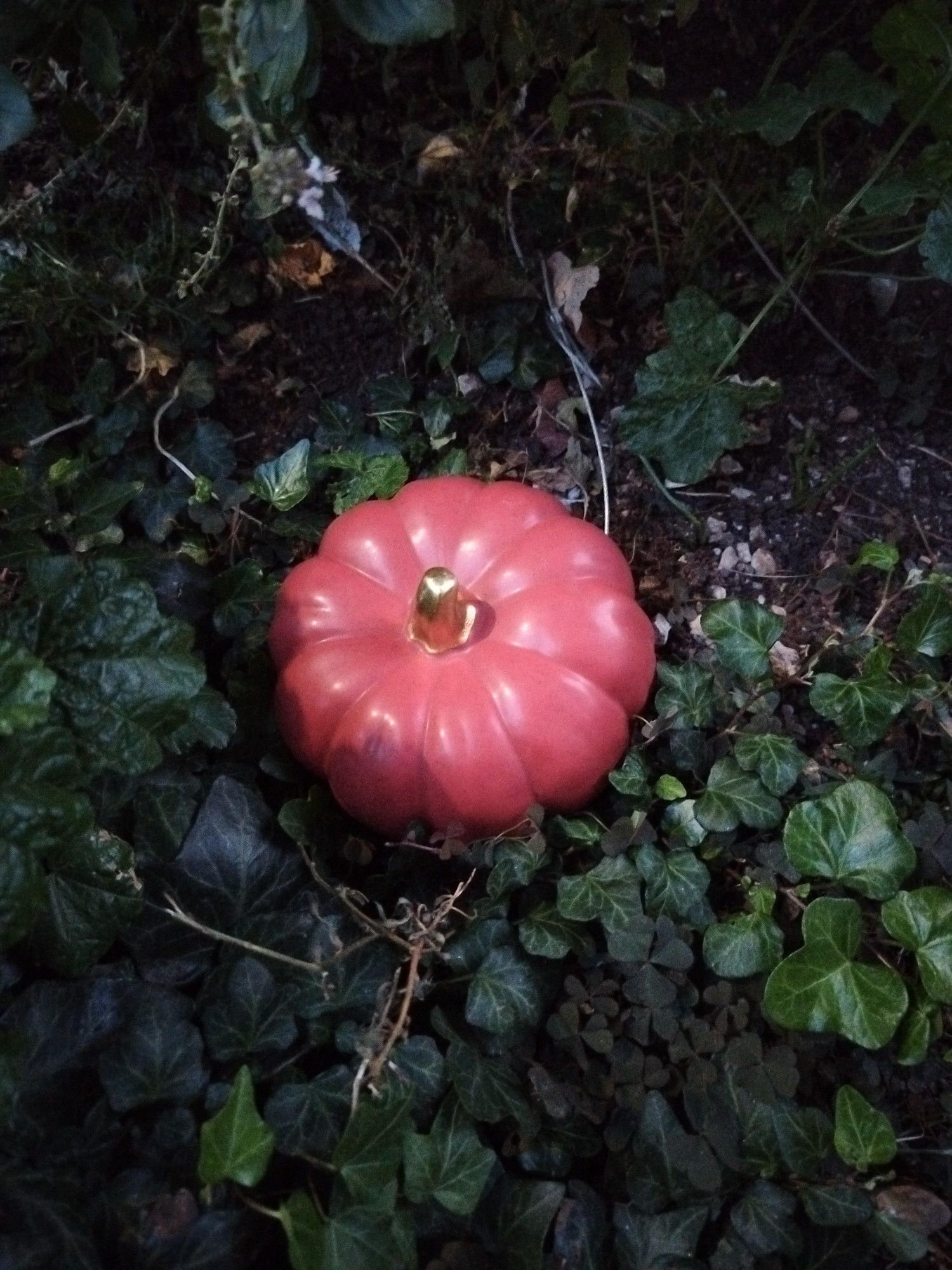 Roter Keramikkürbis mit goldenem Stengel zwischen Efeu