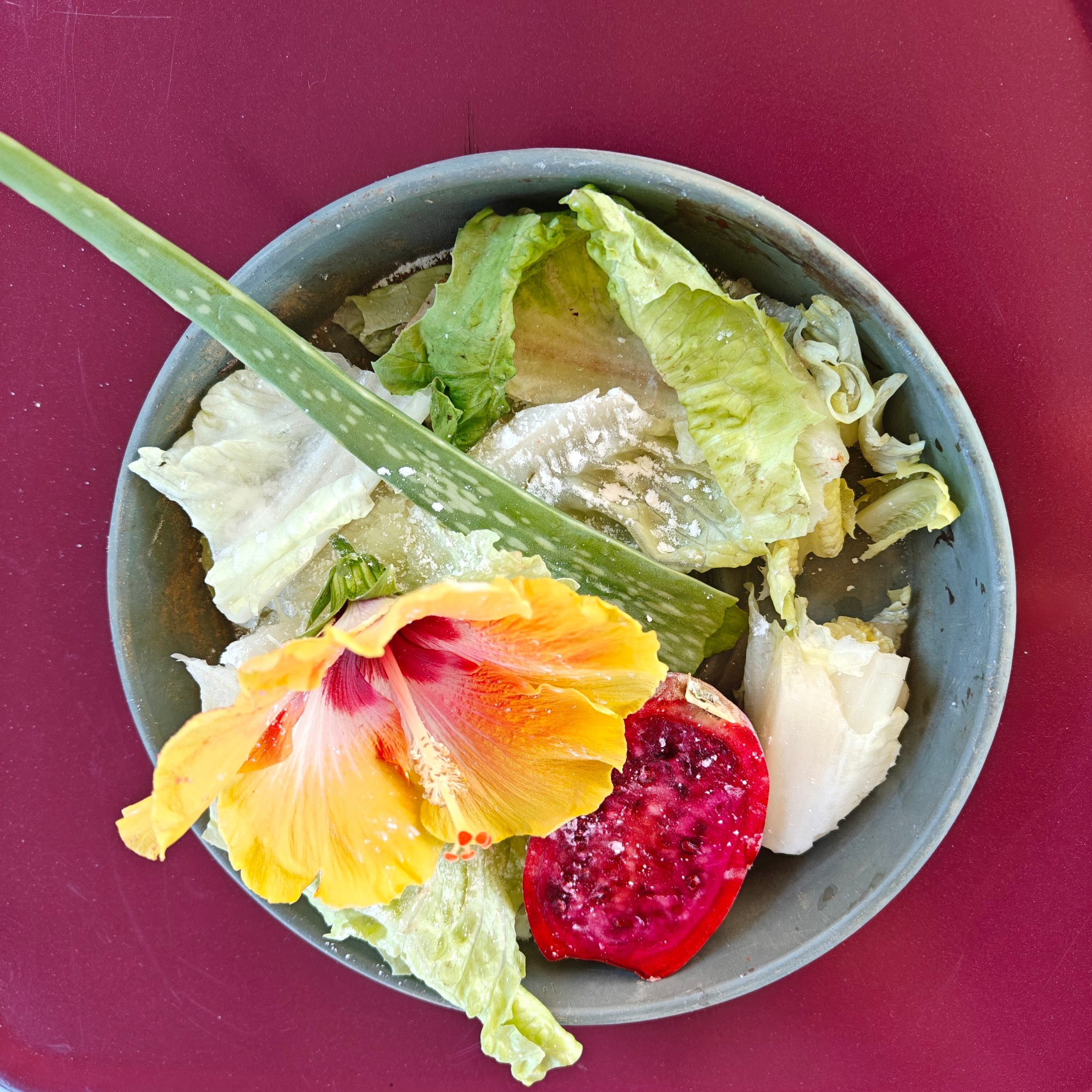 Pale green salad with yellow and deep red highlights