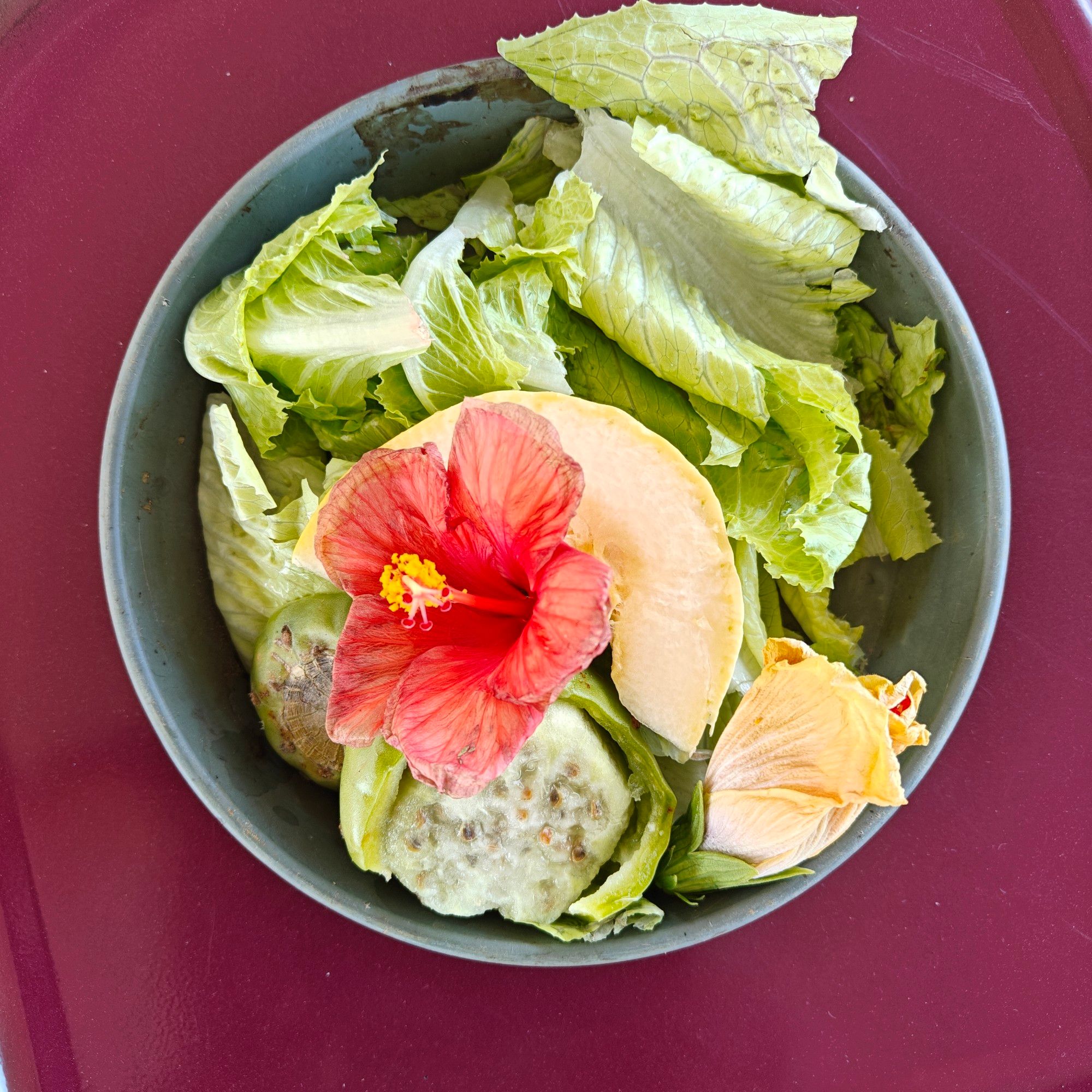 Pale yellow green and red salad containing everything mentioned in the skeet