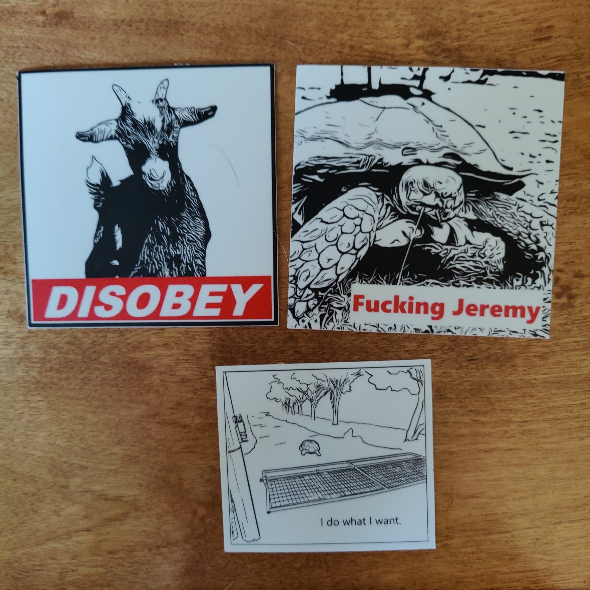 Three different decals. One is a goat that says disobey in the shepherd fairy style, one is Jeremy and a black and white illustration that says Fucking Jeremy, and one is a an image of Jeremy having knocked the gate down and it says I do what I want.