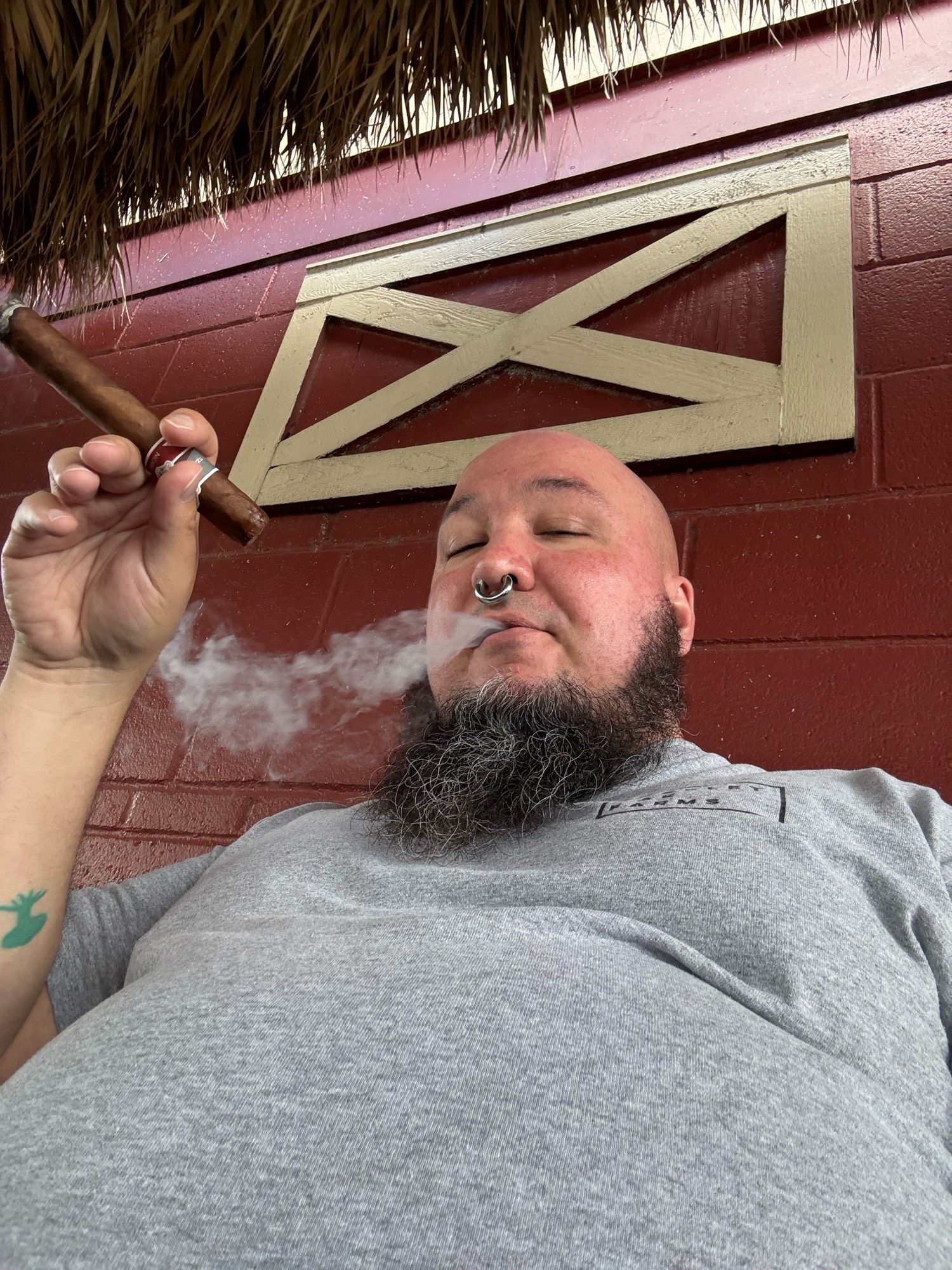 Selfie of a bald man with a black and grey beard wearing a grey shirt and metal septum ring. Holding a cigar and blowing out smoke.