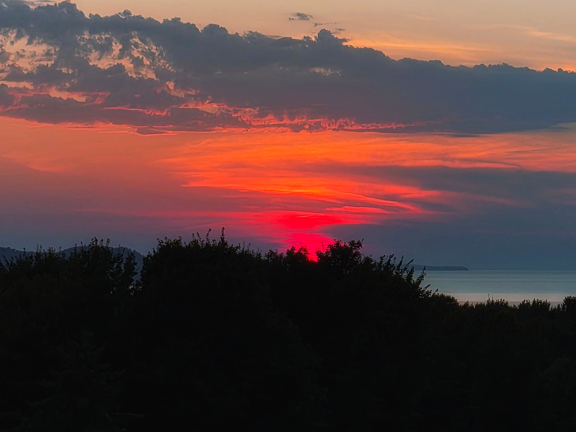 A flaming scarlet and orange sunset over the water with dark trees in the foreground 