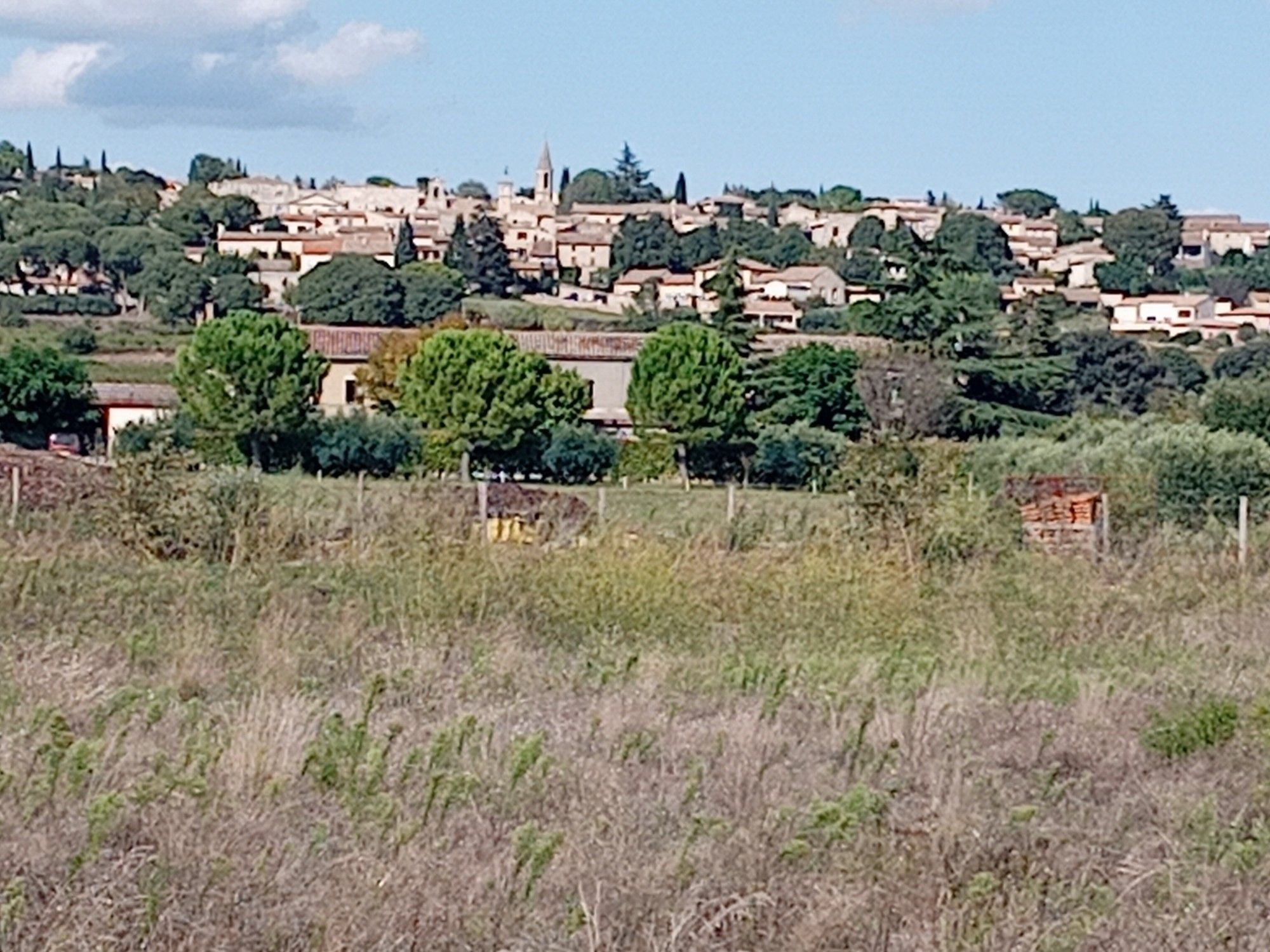 Distant shot of French village on hill. Grass and scrub in foreground.