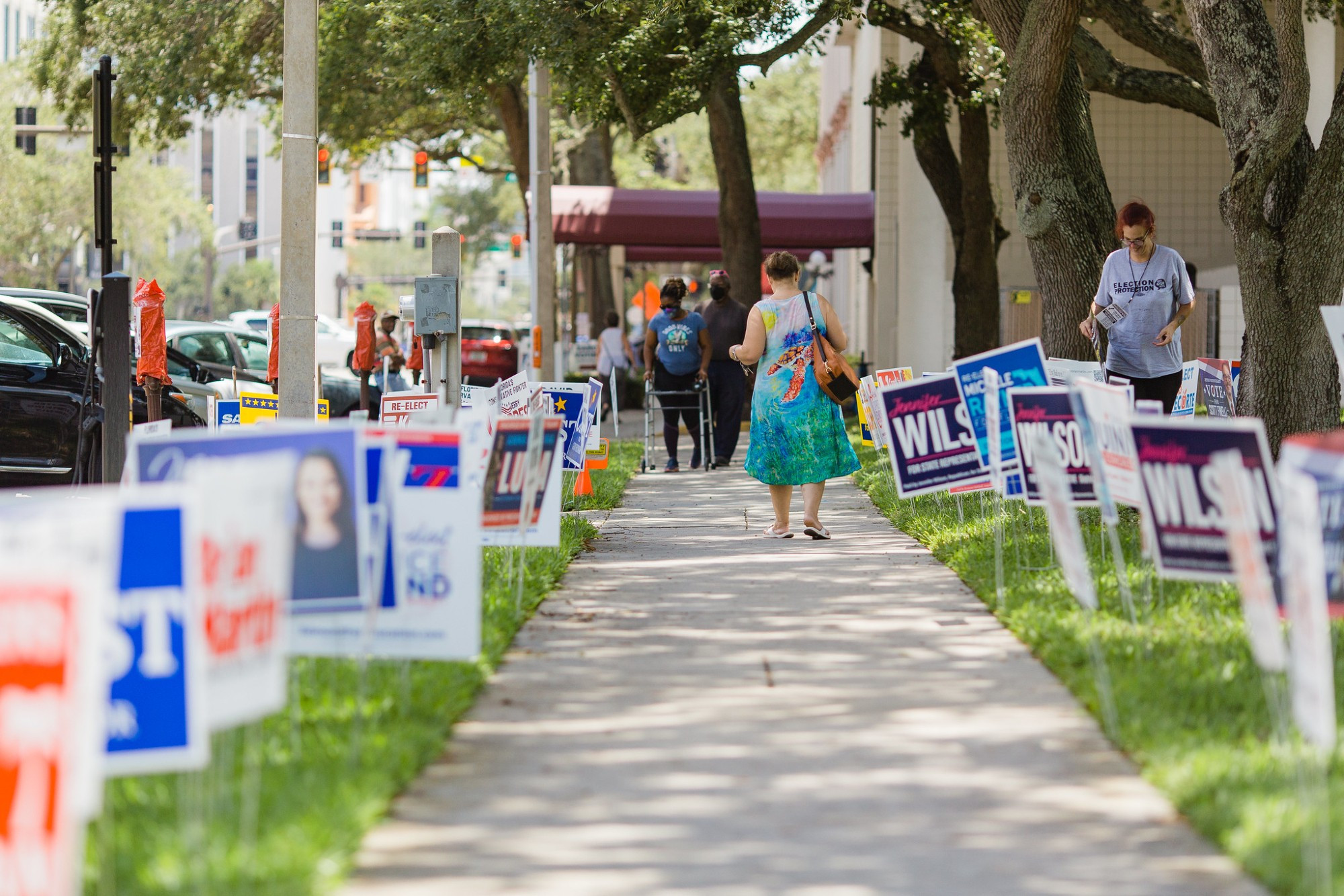 Signs fill the borders of a sidewalk near a polling station. CITY OF ST PETERSBERG VIA FLICKR / CC BY-ND​​​​​​​