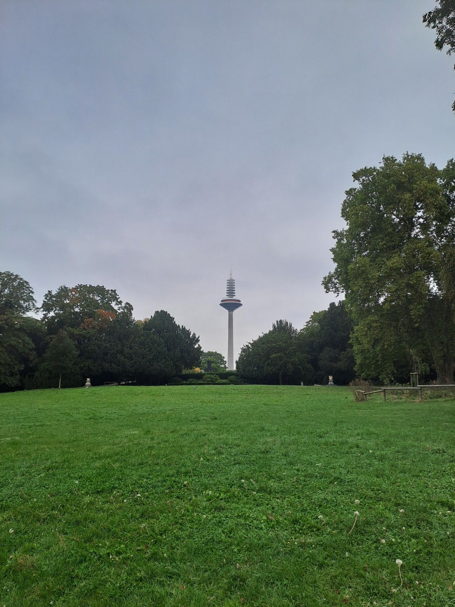 Blick auf den Frankfurter "Fernsehturm" aka Ginnheimer Spargel