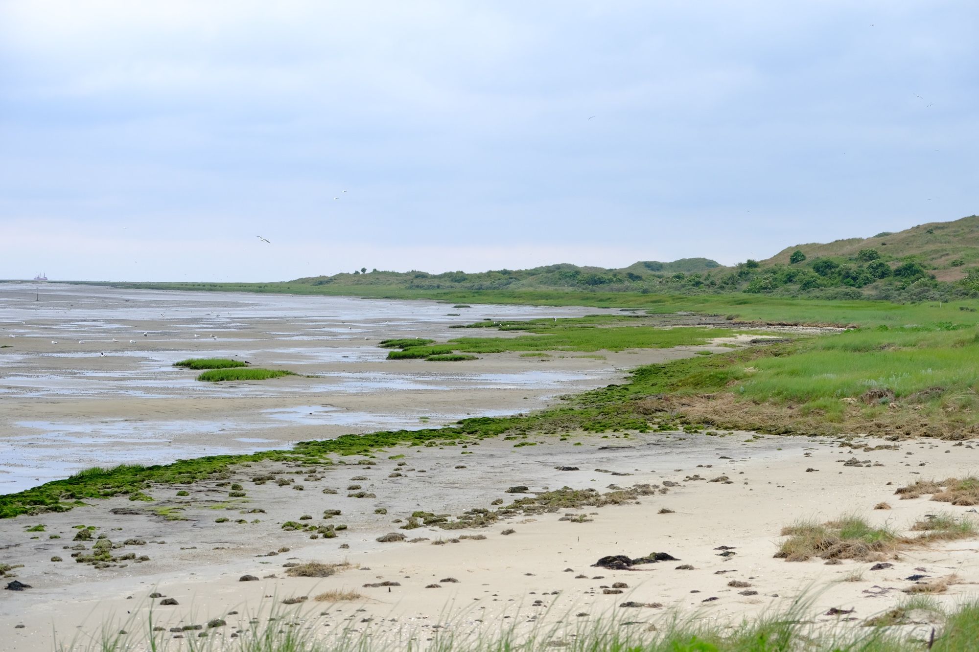 Waddenkust. Een kale ongerepte kust. Ondiepe zee land en water nu vredig soms in gevecht