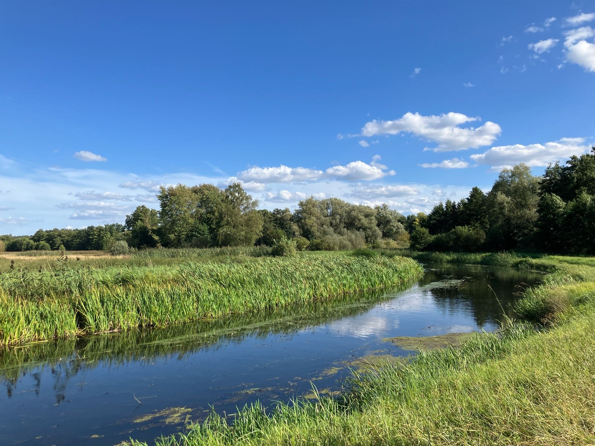 Een vaart met aan weerszijden grasland en opdr achtergrond bomen. Net buiten de stad. 