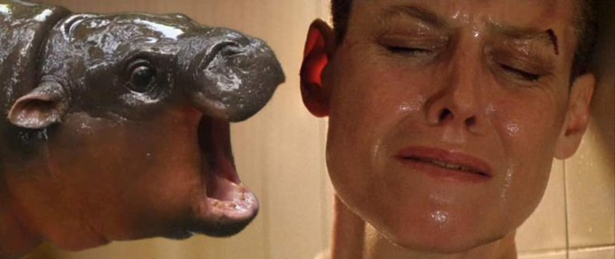 Photoshop of Ripley in Alien, where the beast's face is righr next to her's, but the beast is the cute baby pygmy hippo moo deng