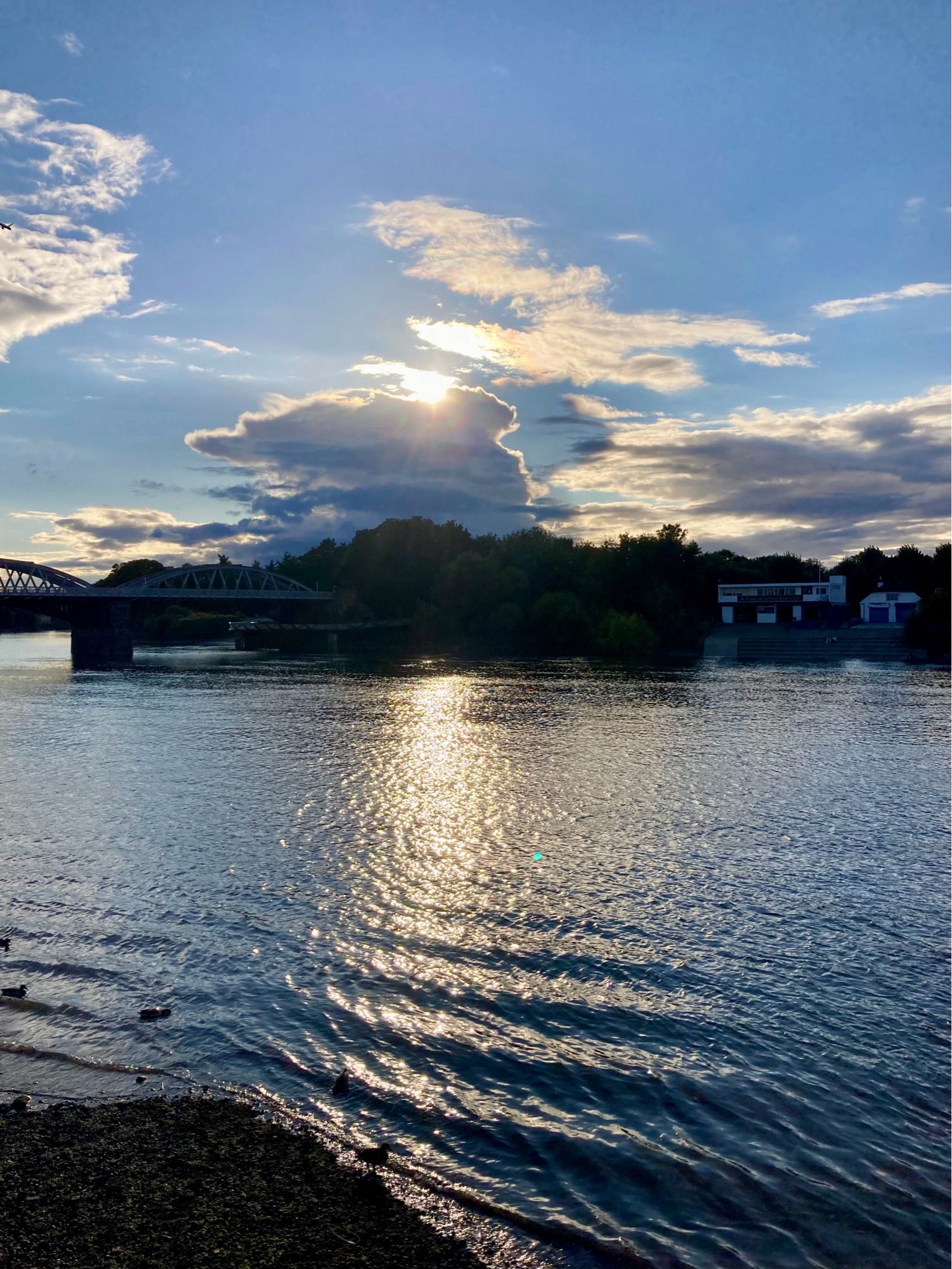 Sunshine, clouds and blue sky reflecting in the Thames, dark trees on the opposite bank, and waves ripple against the undulating foreshore