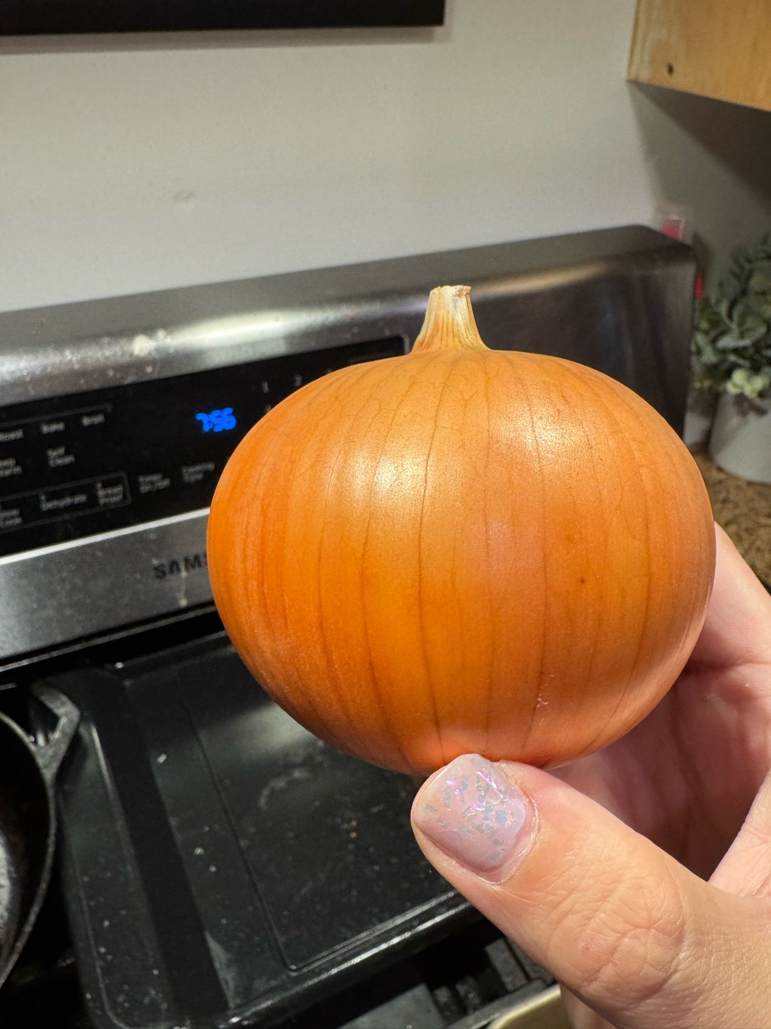 a near perfect yellow onion being held in my hand 