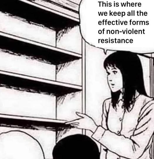 A drawing of a woman,  gesturing to empty bookshelves, saying "This is where we keep all the effective forms of non- violent resistance. "