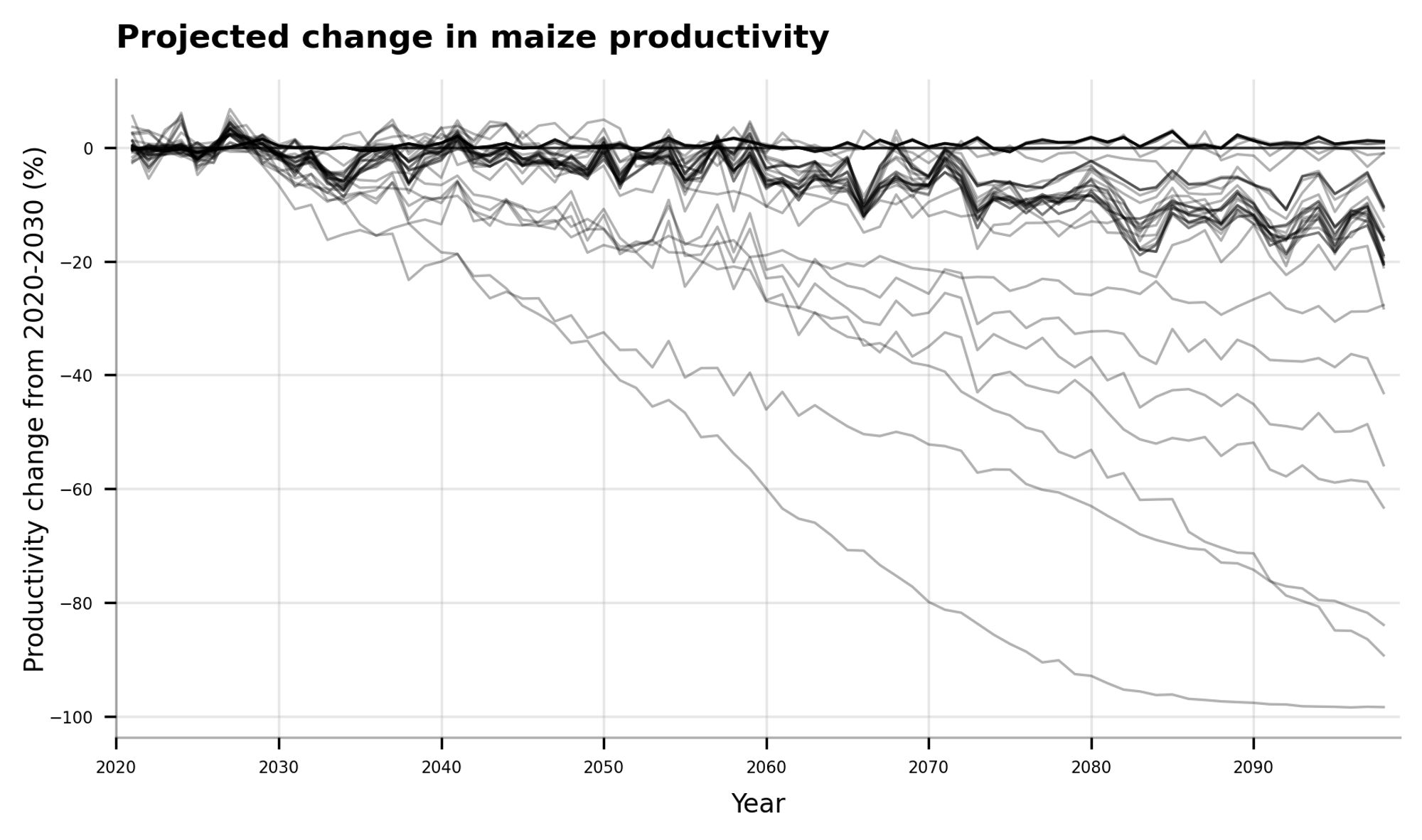 Line graph of modelled changes to maize productivity from 2020 to 2100. Most projections range from 0% to -20% at end-of-century, but some go down to -100%.