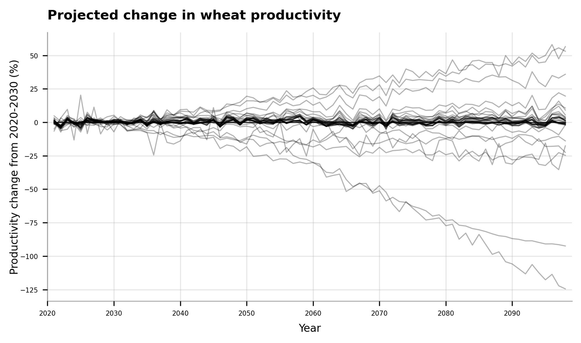 Line graph of modelled projections of wheat productivity change from 2020 to 2100. Most models expect 0% change by end-of-century, but there are some projections as low as -125% and as high as +50%.