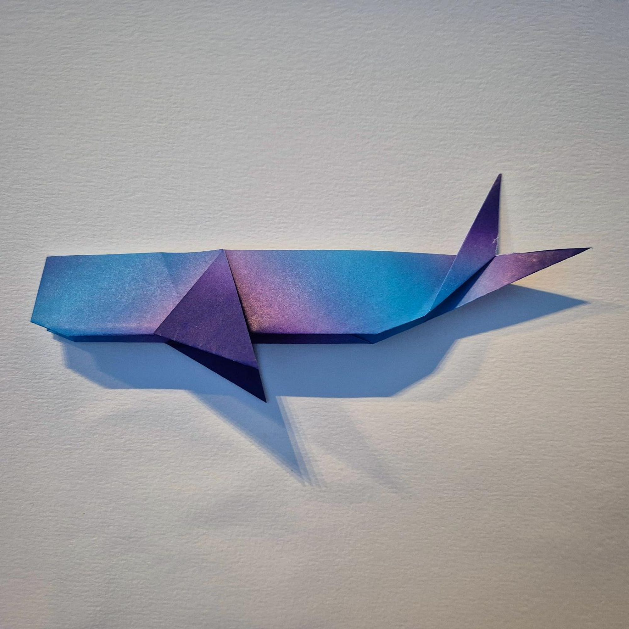 Photo of an origami whale folded out of a piece of paper in blue and purple. Its sharply outlined shadow falls on a white background.