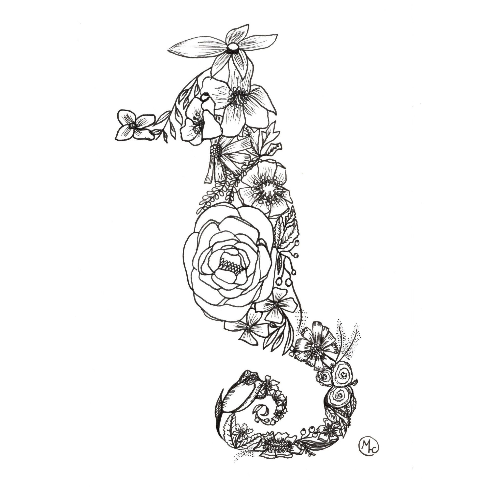 On a white background, an illustration in black fine lines shows the silhouette of a seahorse, made up entirely of different kinds of flowers. The largest is a peony at the centre of the seahorse’s stomach.