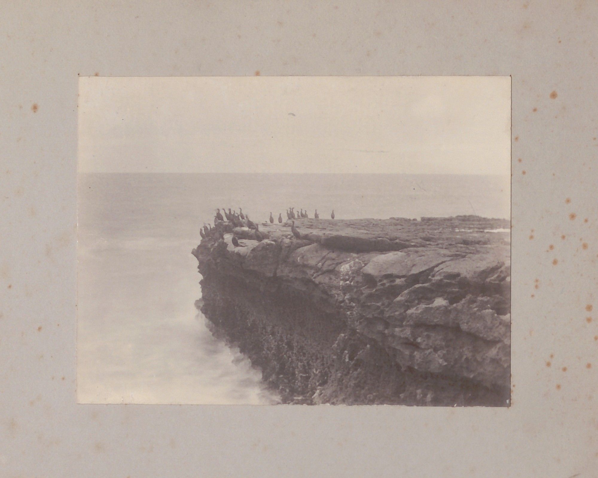 Cliff with birds on Aran Island Inis Mór.