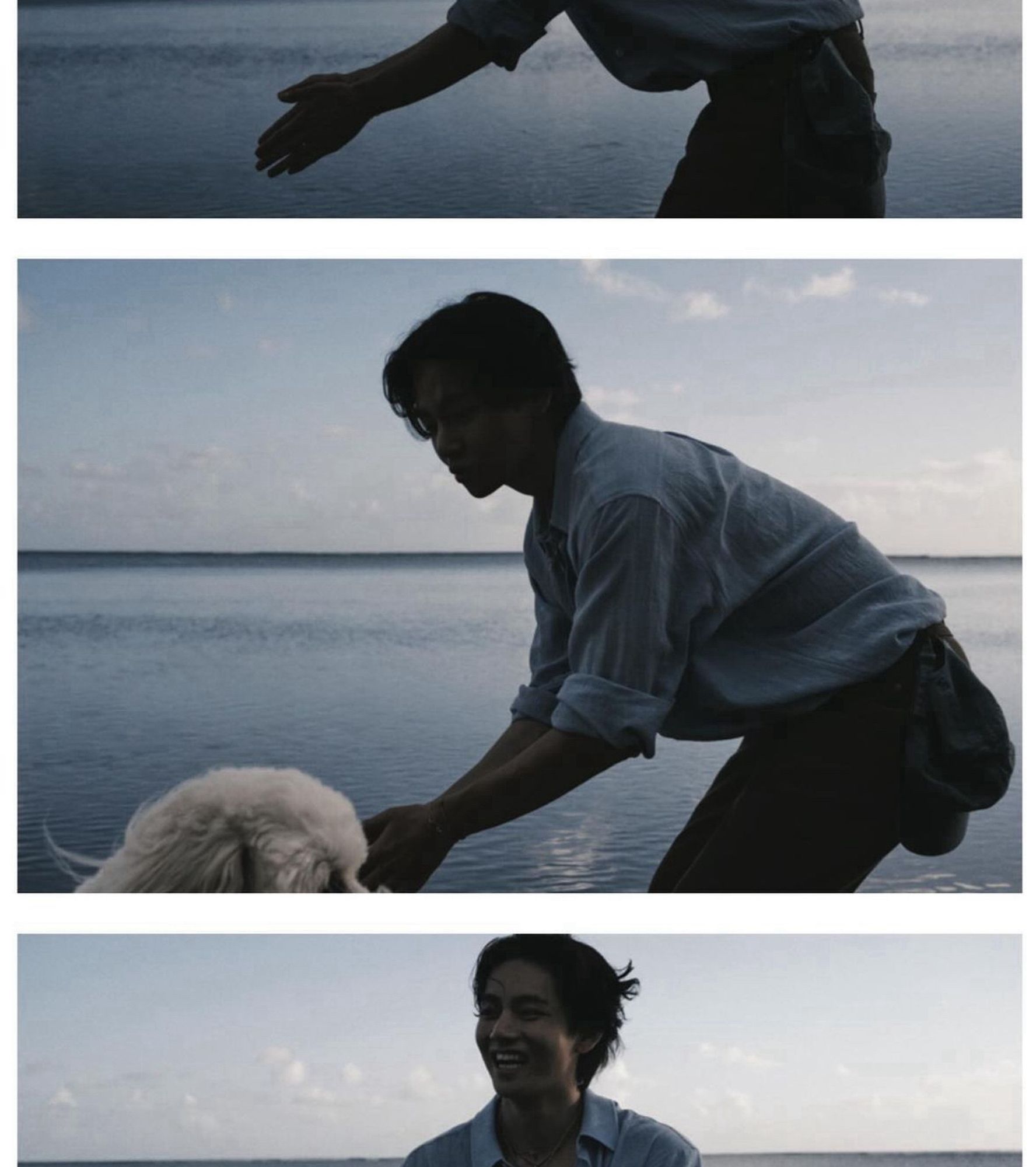 Taehyung on the beach playing with a dog