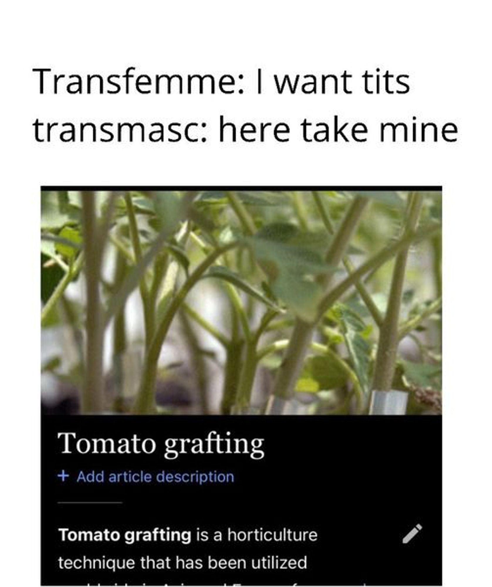 Transfemme: I want tits

Transmasc: here take mine

Below is a shot of the wikipedia article for tomato grafting.