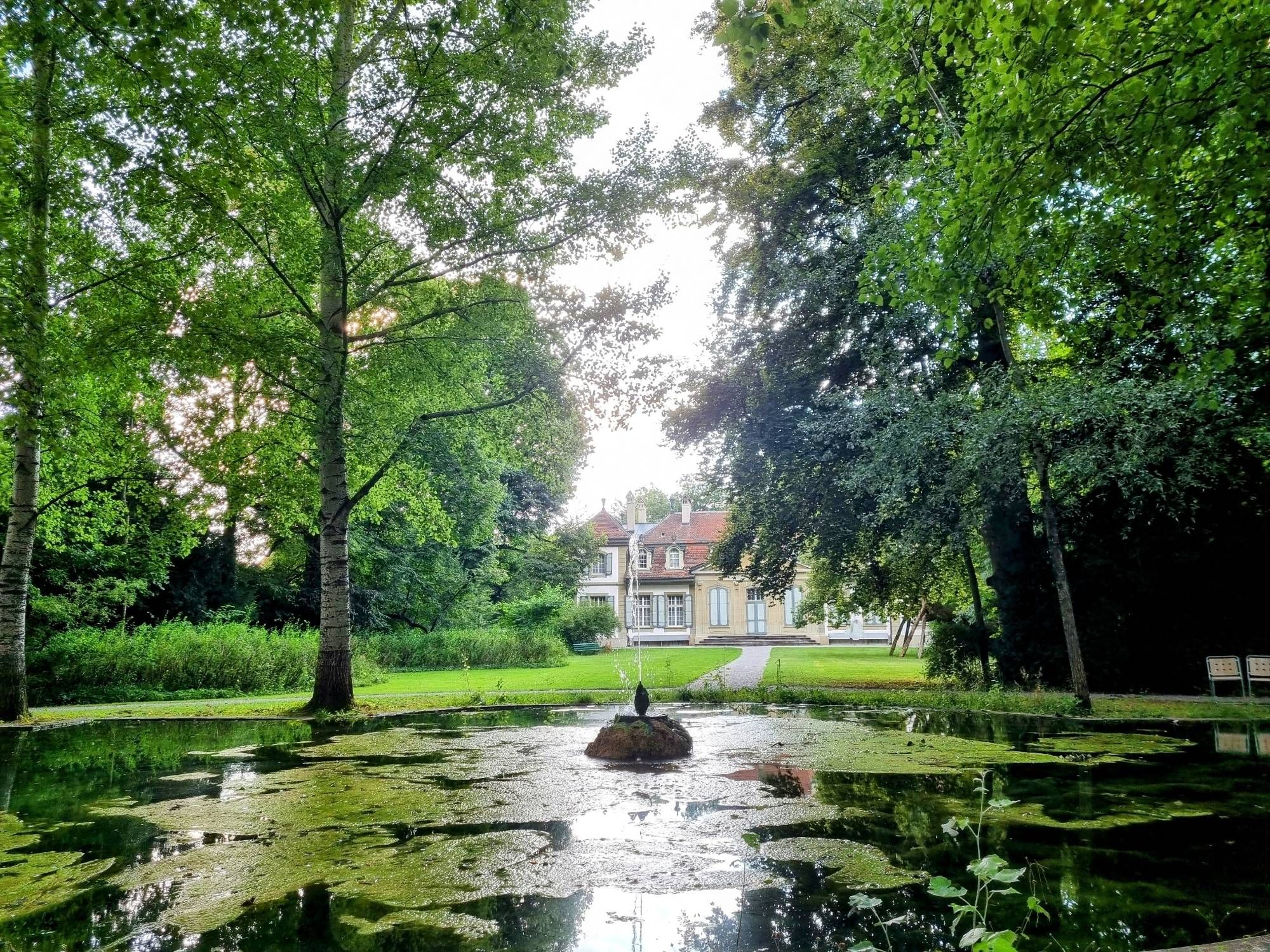 Schlossteich beim Schloss Bümpliz, es ist eher bewölkt, der Teich und Bäume sind im Vordergrund, dahinter ein Kiesweg, der zwischen grünem Rasen durchgeht, im Hintergrund das Schloss