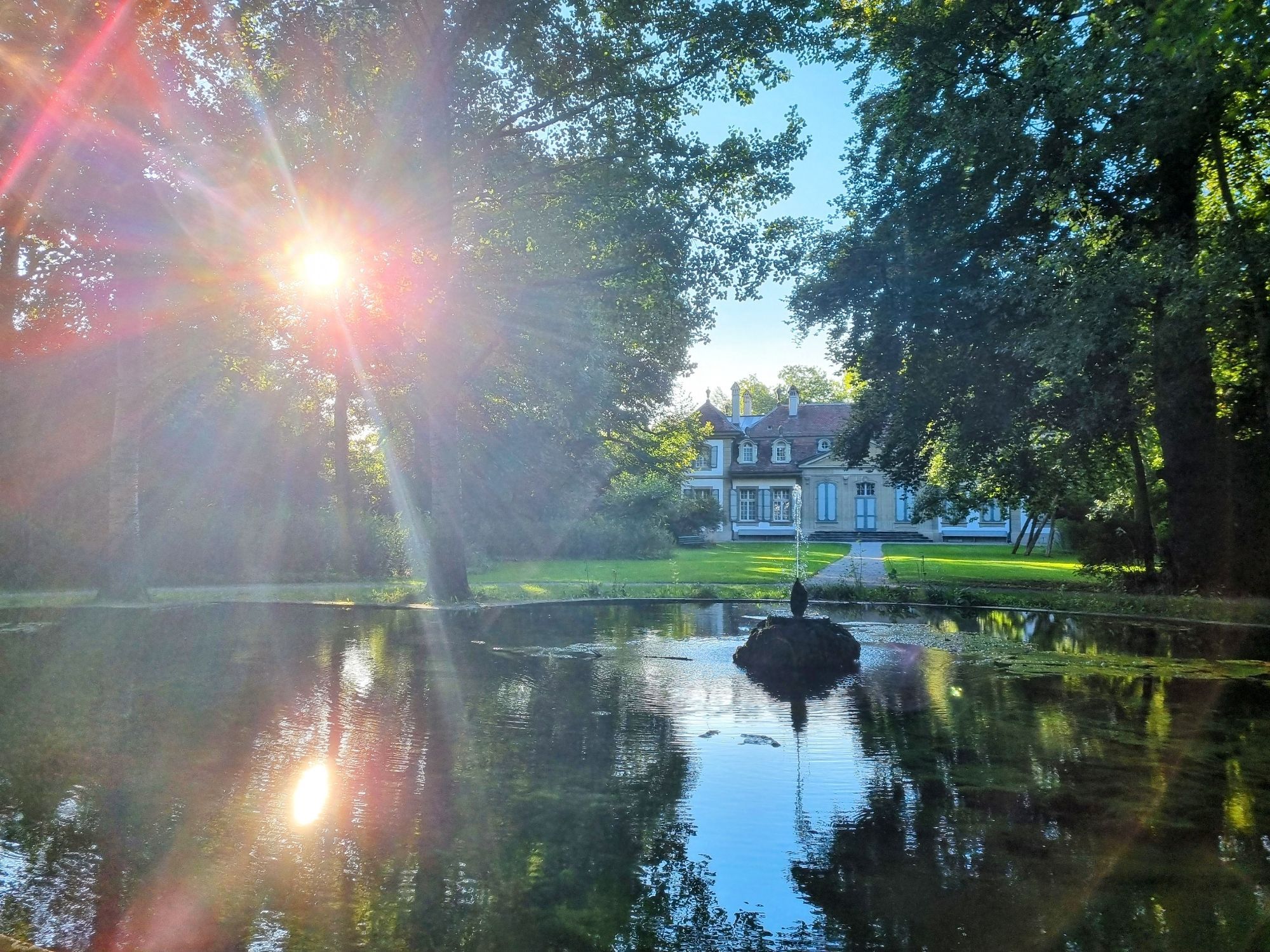 Schlossteich mit starker Sonnenreflektion im Wasser