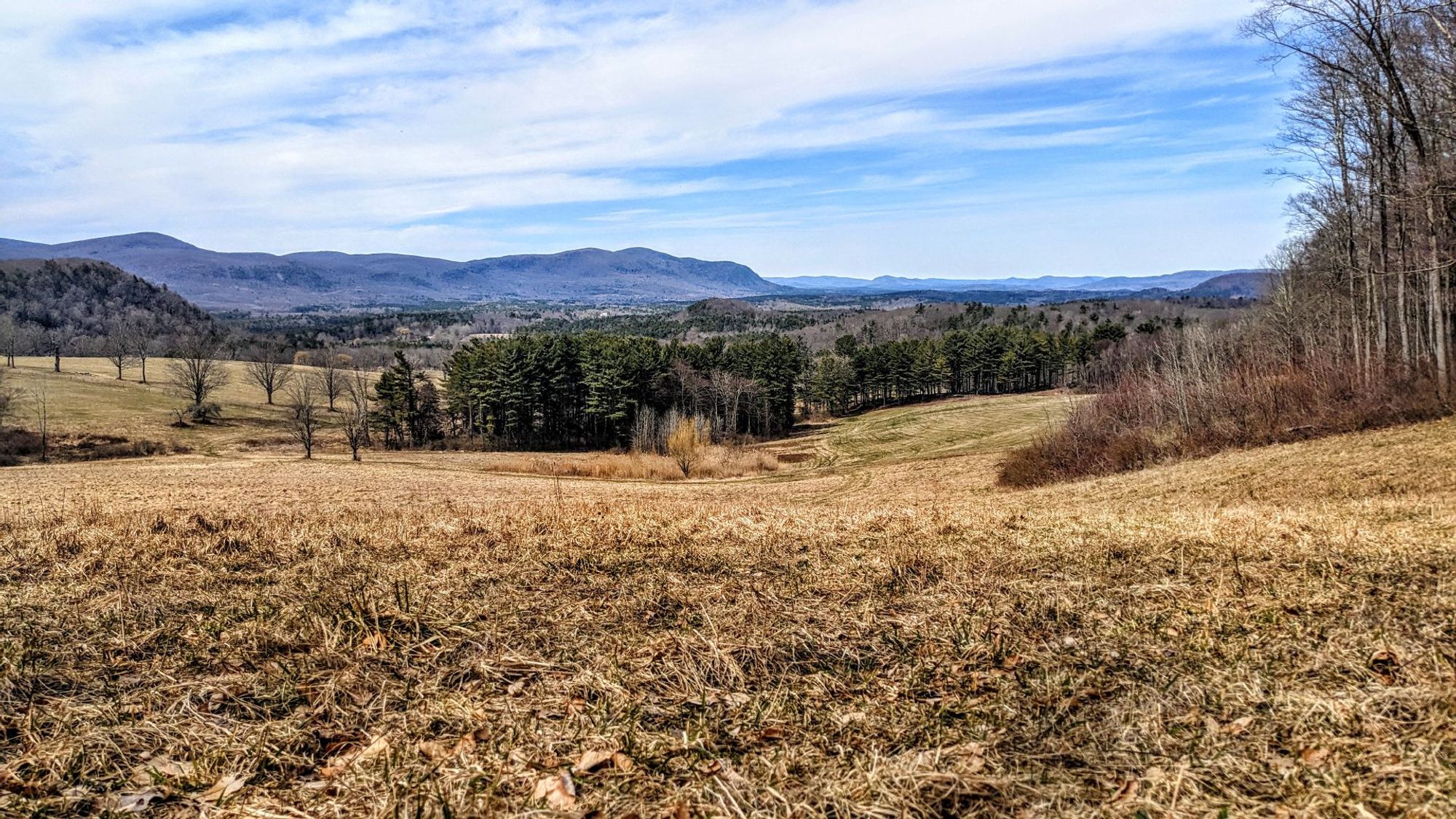 A soft blue sky with streaky white clouds. Looking down from a spot at the top of a sloping field high on a mountainside across wooded foothills to a long narrow valley below. It is early spring and the field has been mowed at the end of the most recent growing season. Small clumps of straw are strewn throughout the short golden brown grass. A grassy track winds gracefully along the bottom edge of this field and then descends to our right and left through three lower fields that appear to be pastures. The two on the left are divided by a fence line and a parallel line of trees a few feet away. The one to our right is separated from the big meadow by a line of leafless hardwoods. Behind them i sweeps uphill past the edge of our frame. The short grass in these fields is beginning to turn green. There are glimpses of a few more distant fields, but most of the scene is covered with a forest split almost equally between evergreens and leafless hardwoods. The long valley is mostly wooded wit