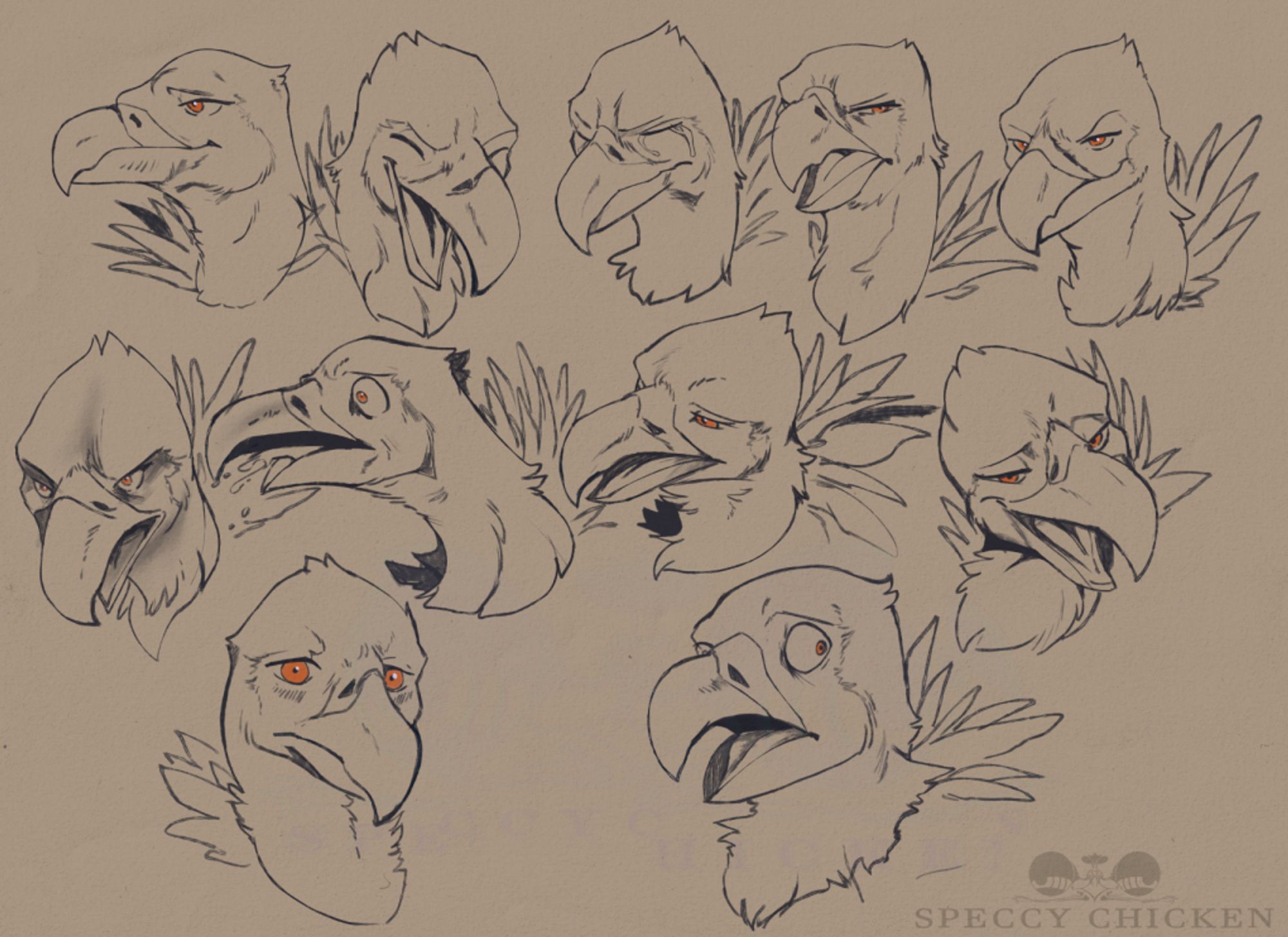 bird faces for a client 🐦