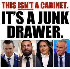 This isn't a cabinet. It's a junk drawer. 
Pictured is Hegseth Patel Gabbard and RFK, Jr