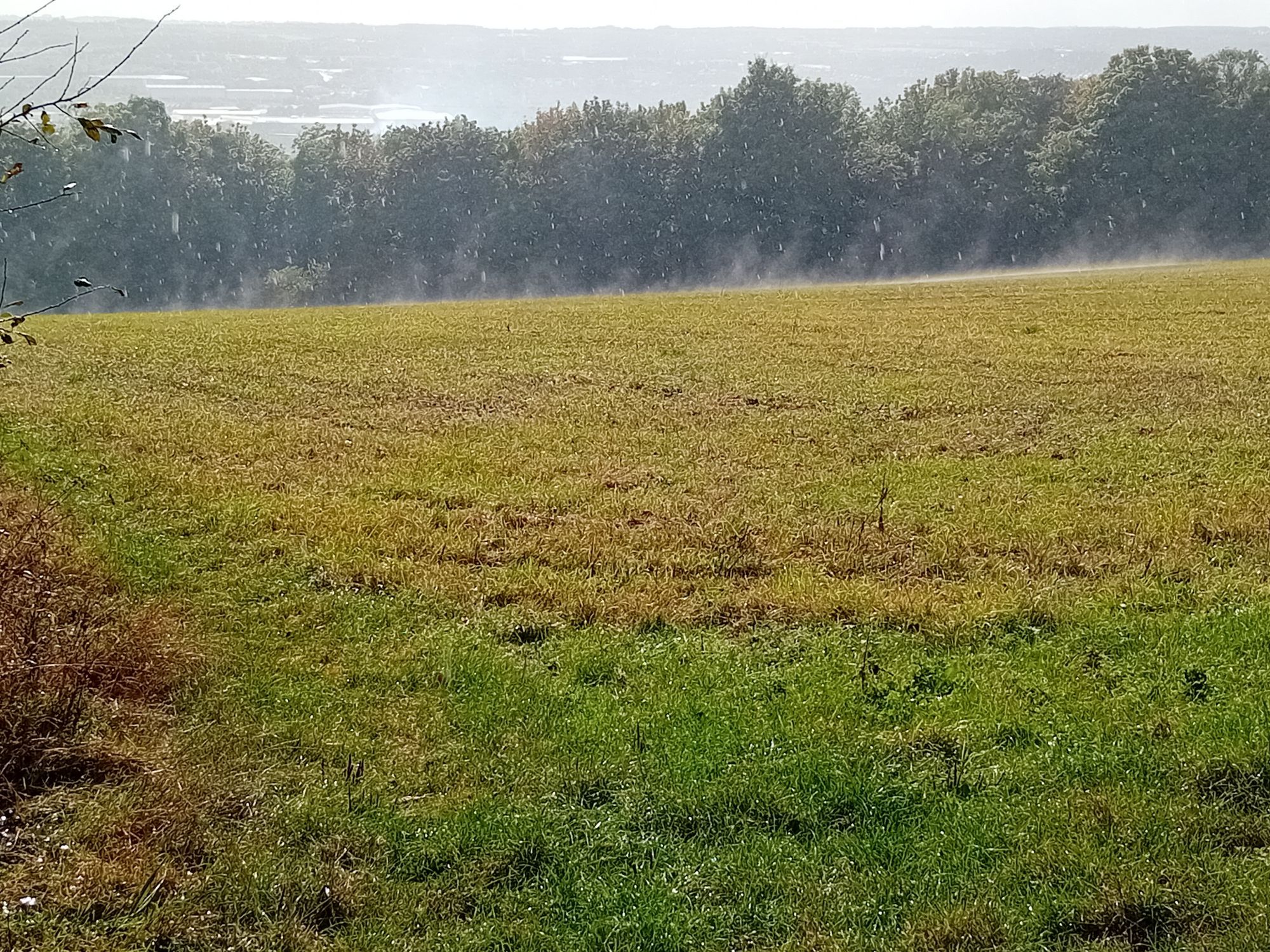 View across a field. There is a light mist rising from the damp grass.