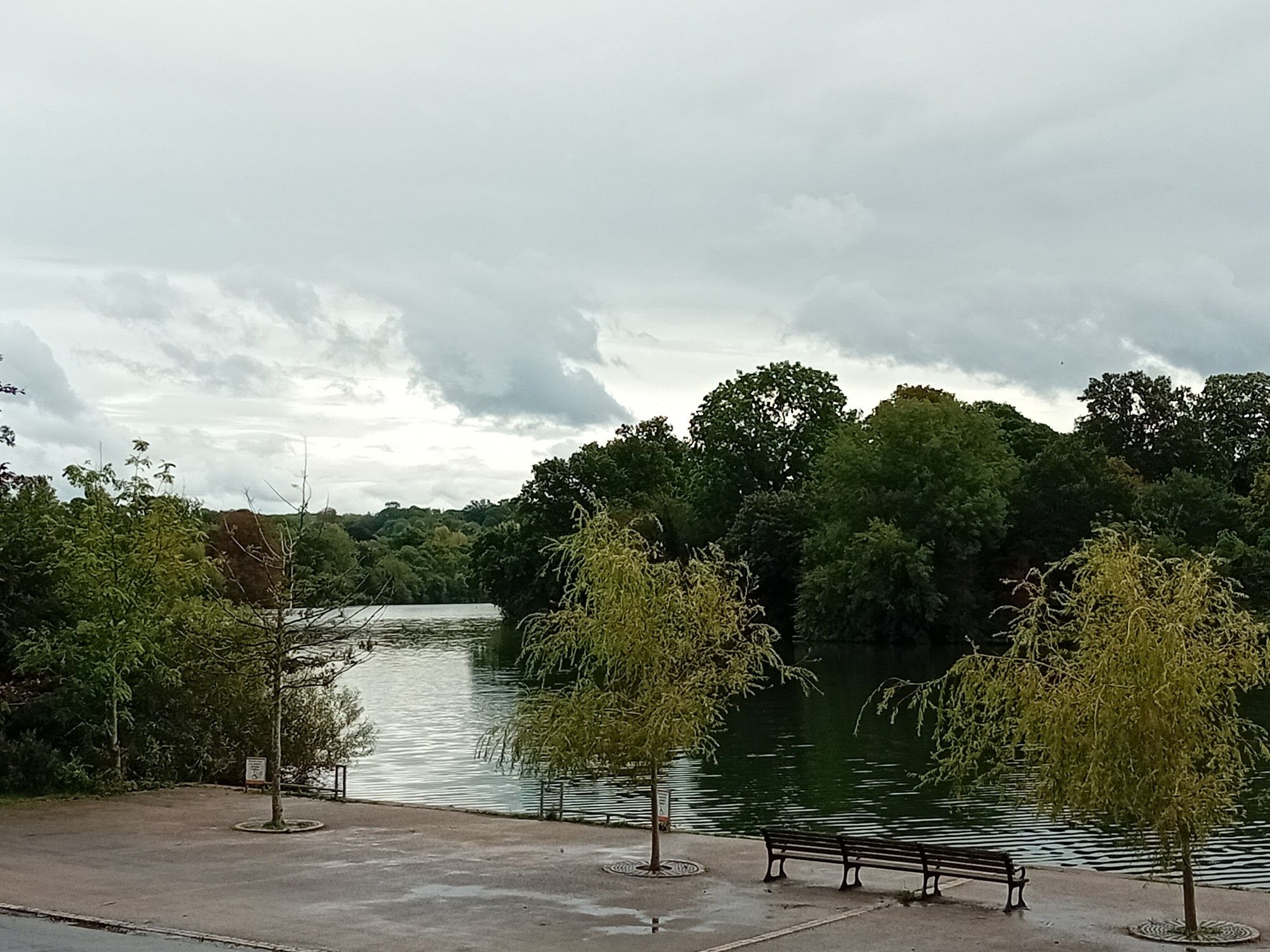 View towards a lake surrounded by trees, which have hints of the leaves changing colour. The sky is grey and overcast.