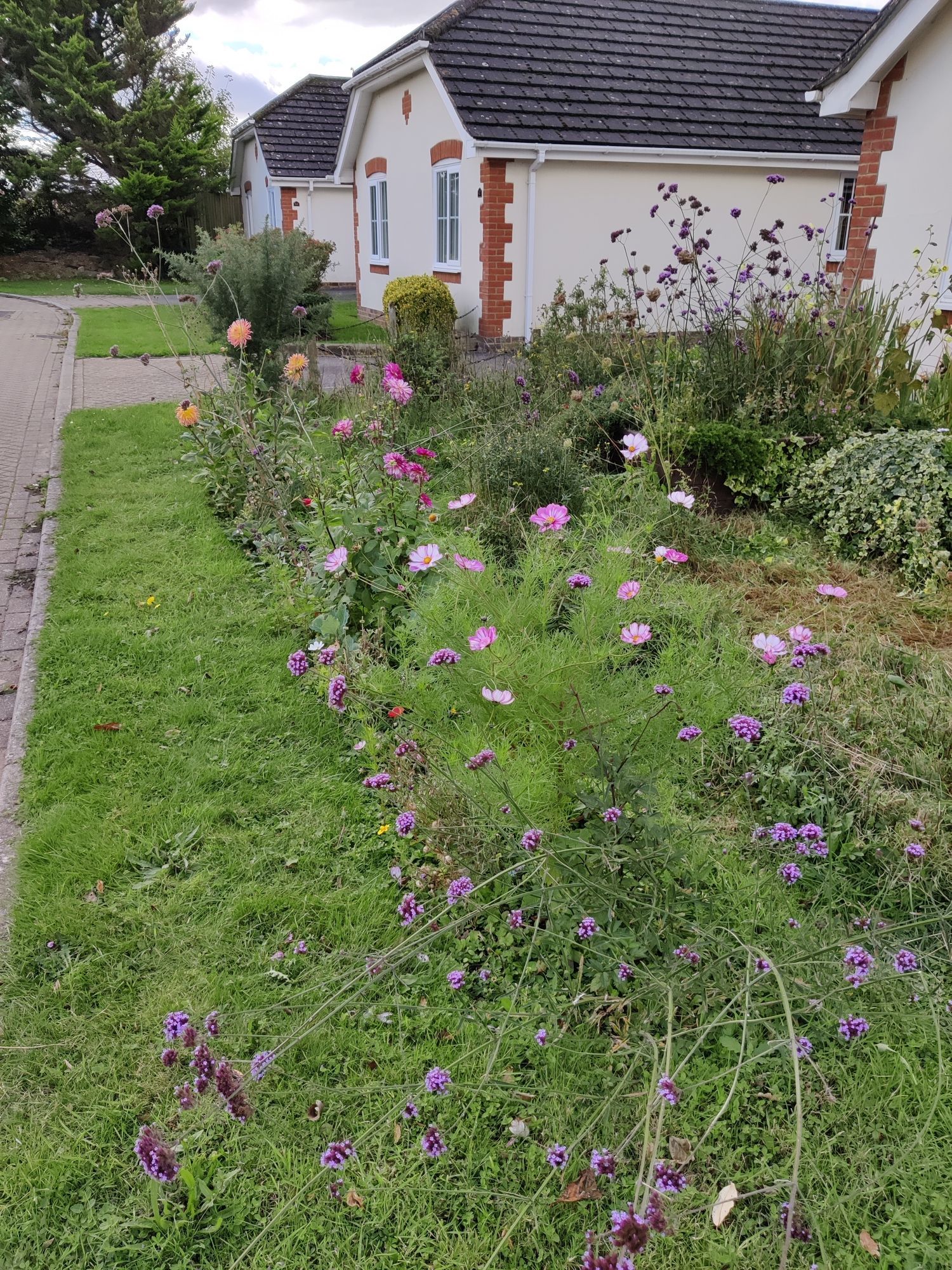 Flower border in a garden