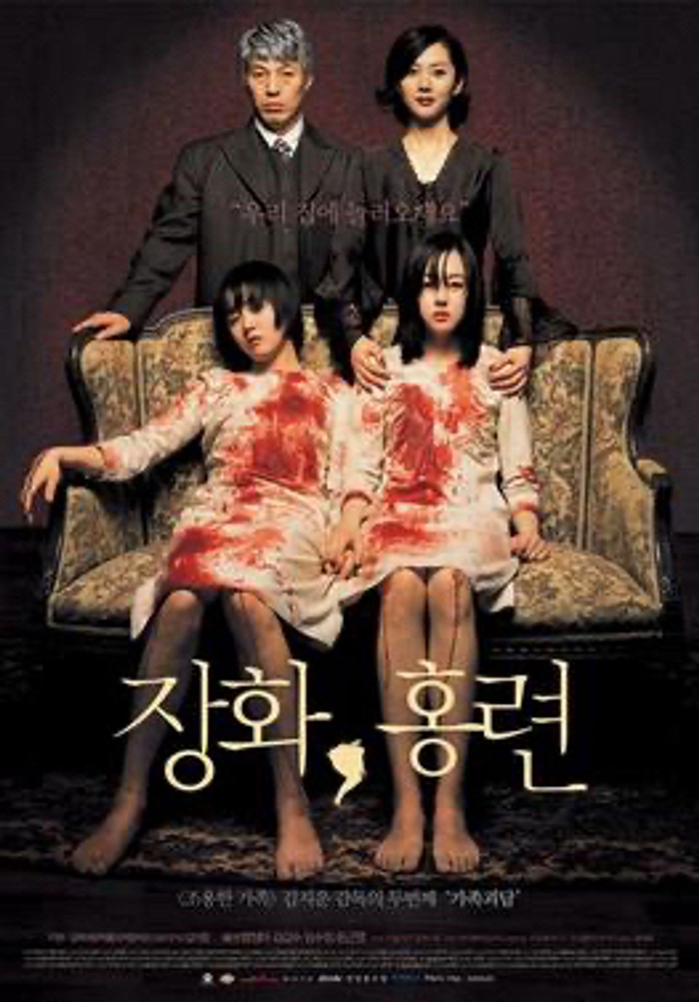 Korean movie poster for A Tale of Two Sisters