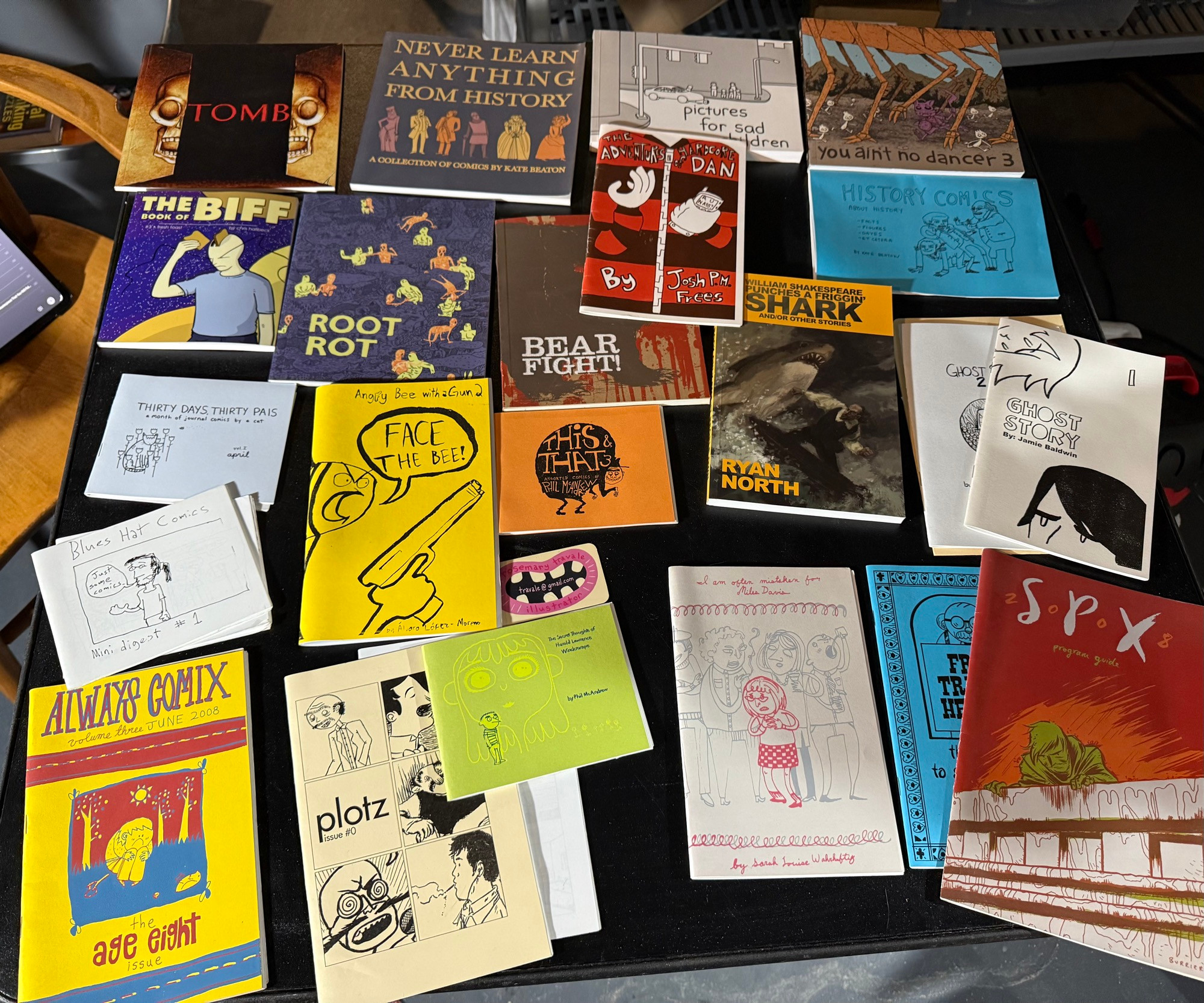 Covers of various minicomics by many friends and artists from past conventions. I’m sorry but I don’t have it in me to catalogue every individual title. 